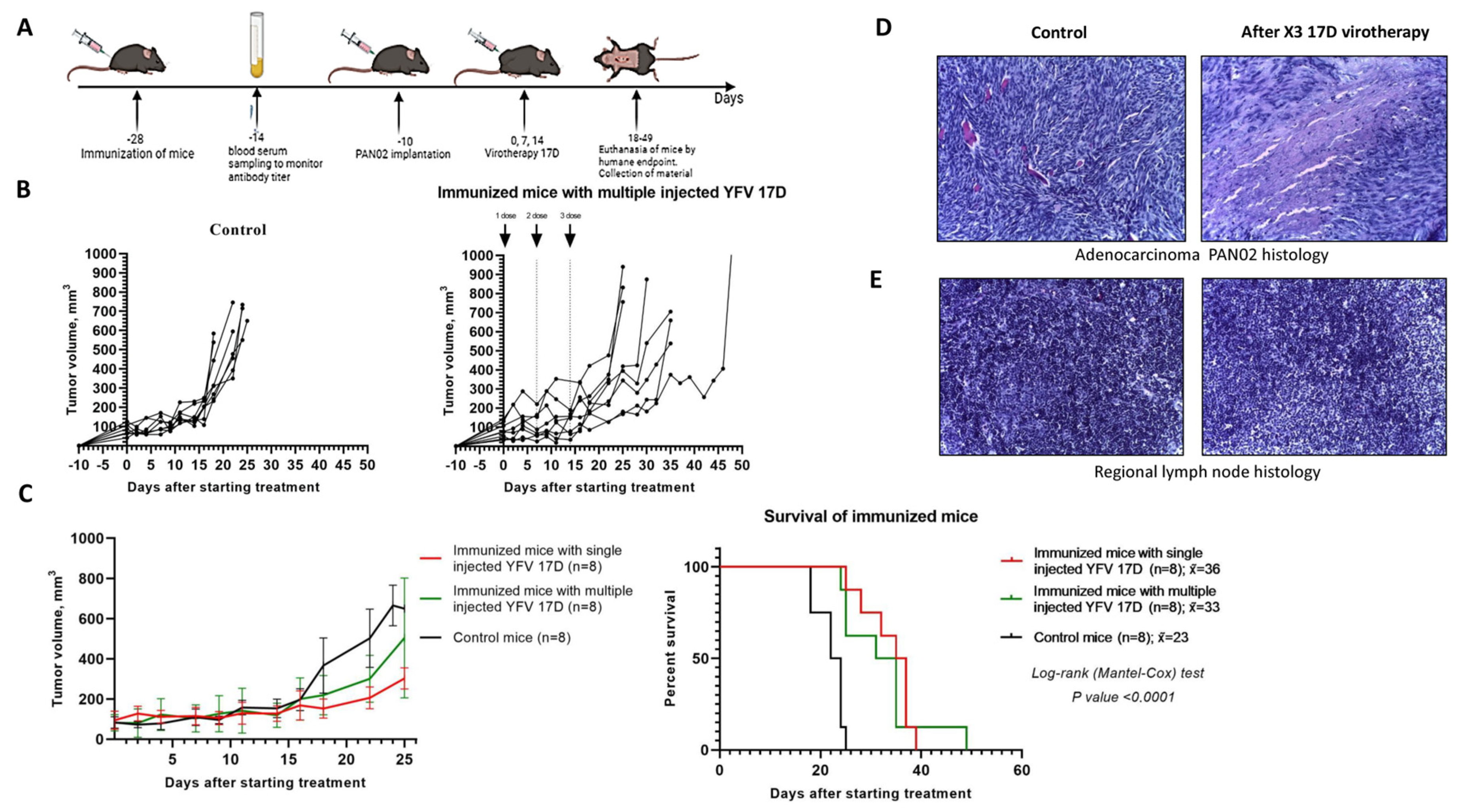 Vaccines 13 00040 g007