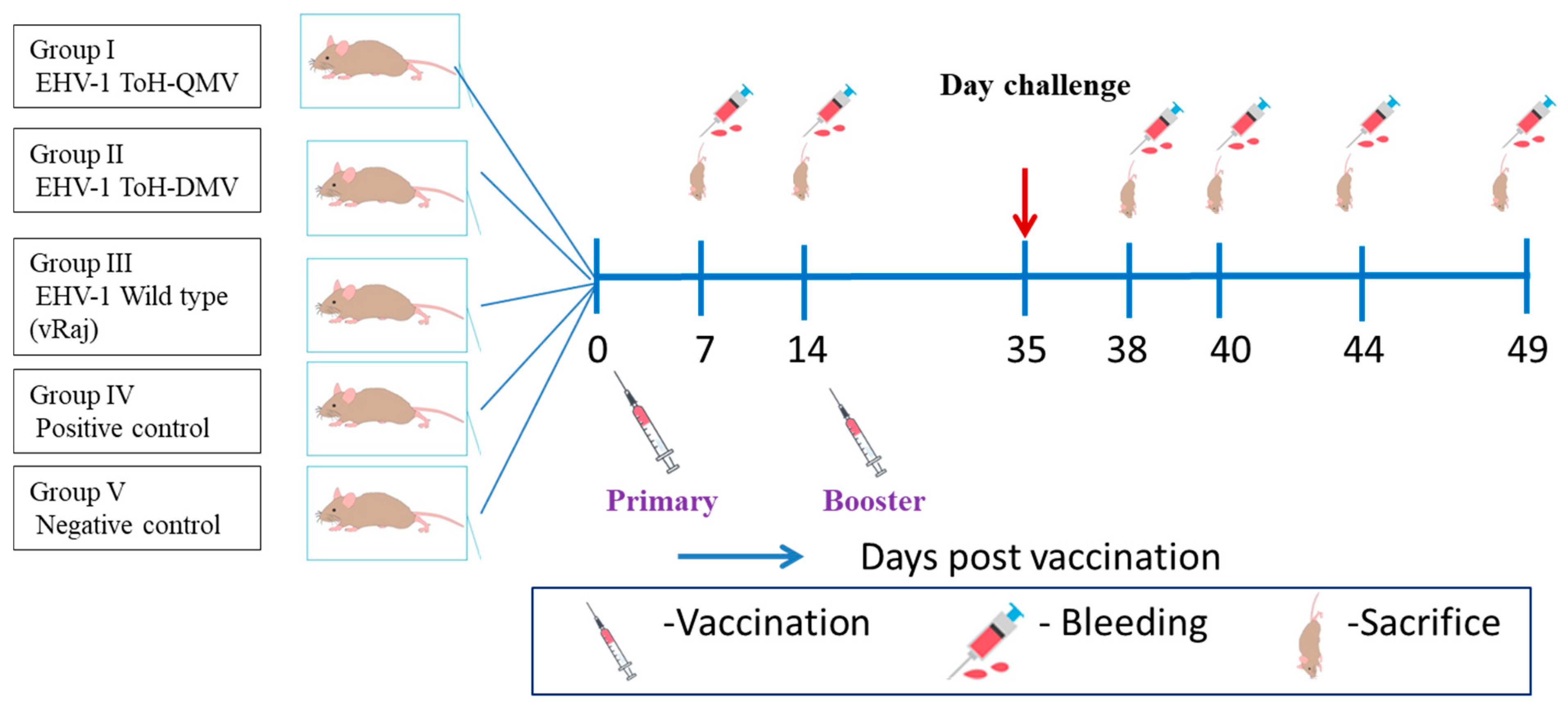 Vaccines 13 00045 g001