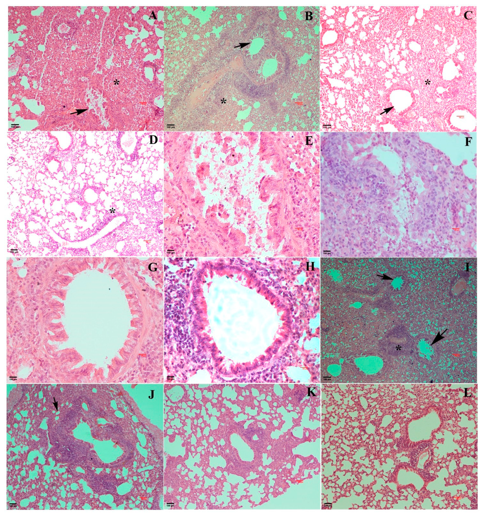 Vaccines 13 00045 g007a