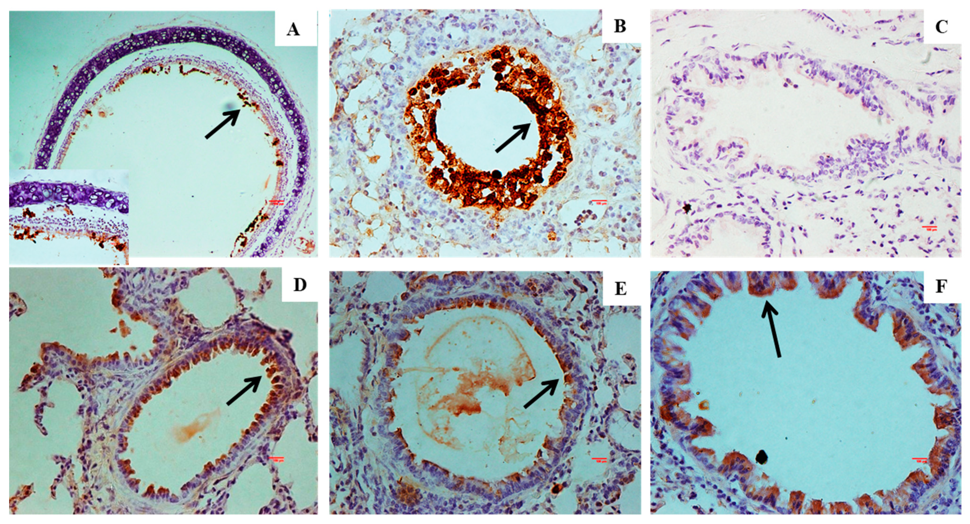 Vaccines 13 00045 g008