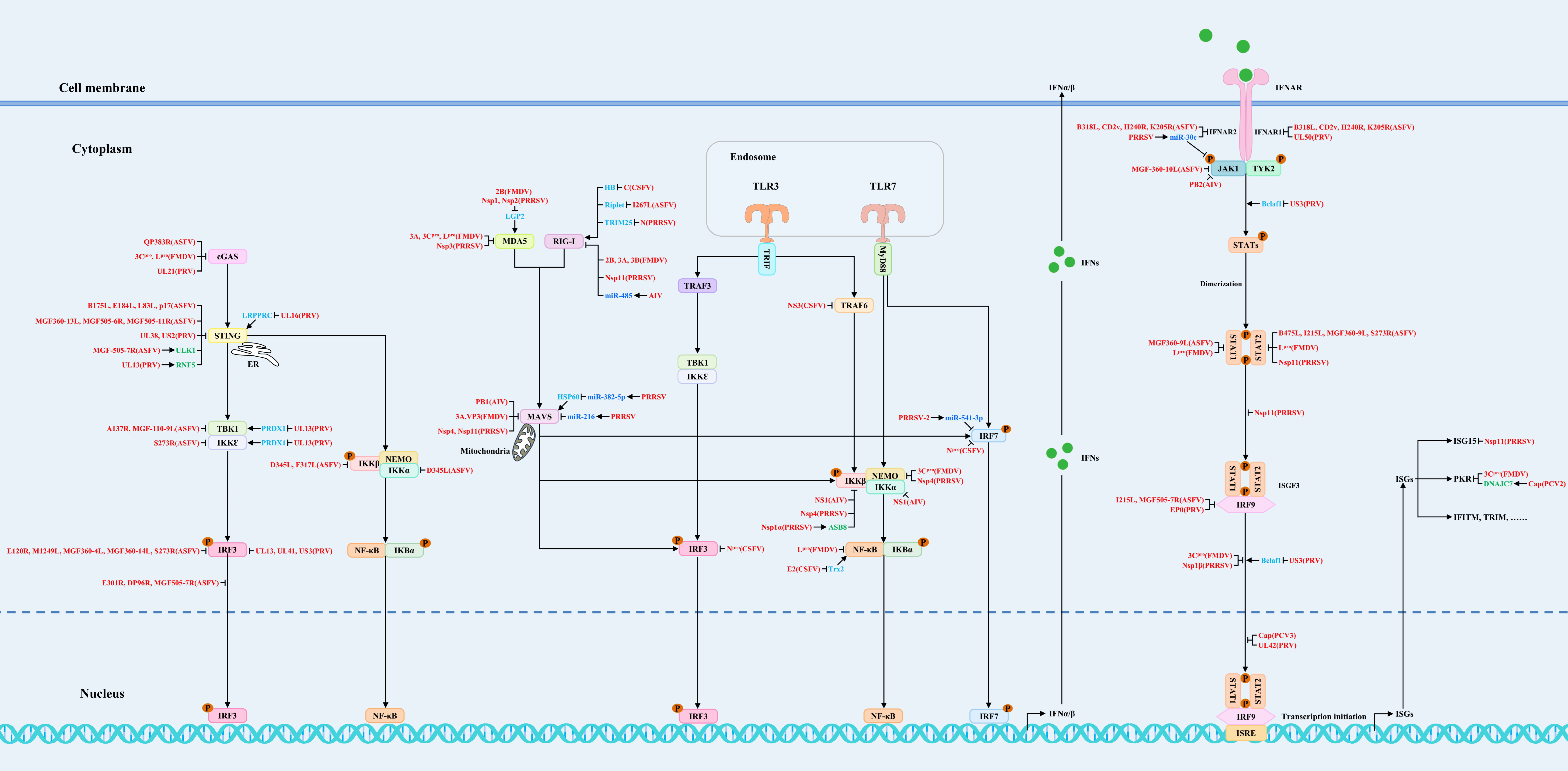 Vaccines 13 00046 g001
