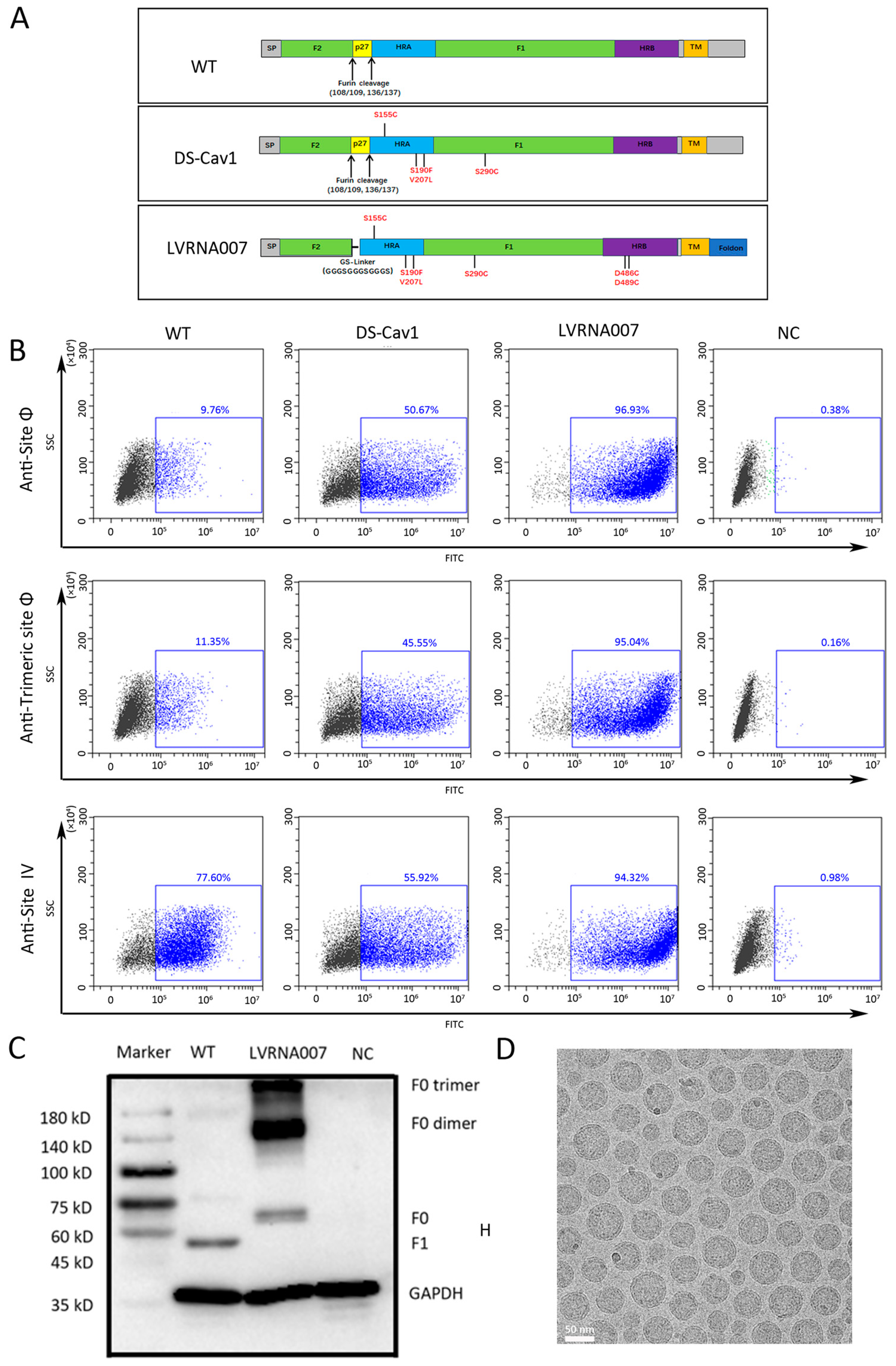 Vaccines 13 00052 g001
