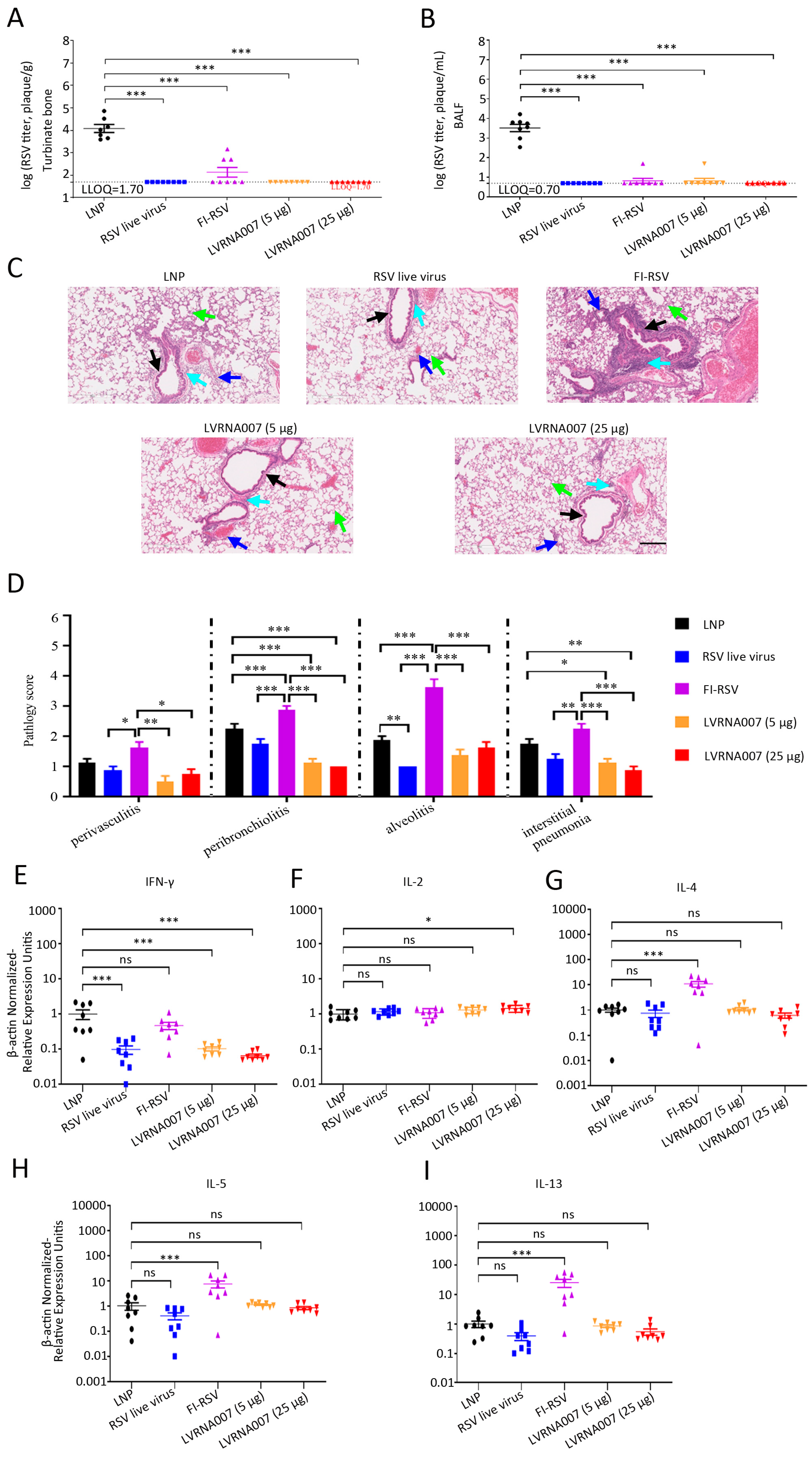 Vaccines 13 00052 g005