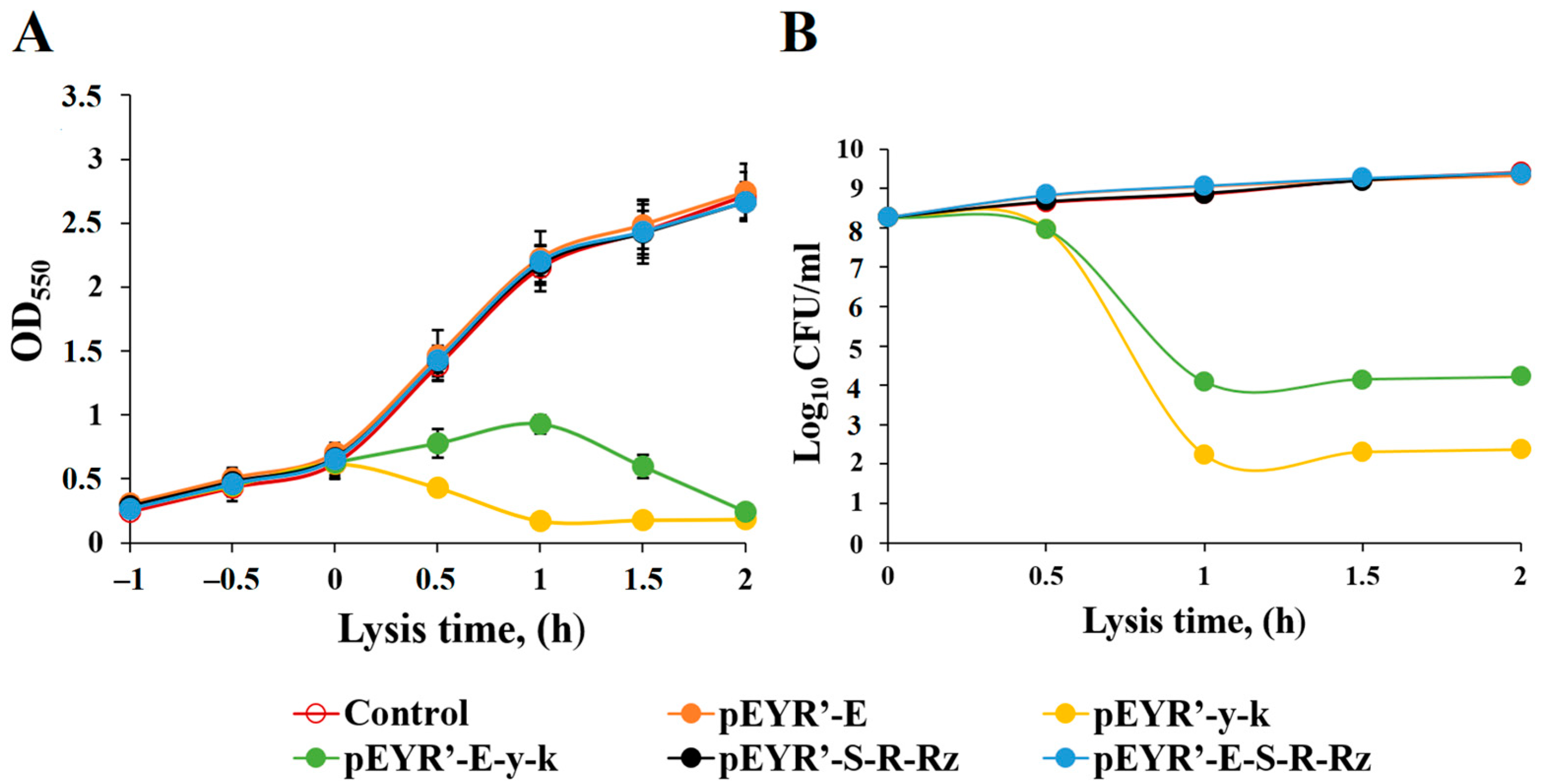 Vaccines 13 00059 g001