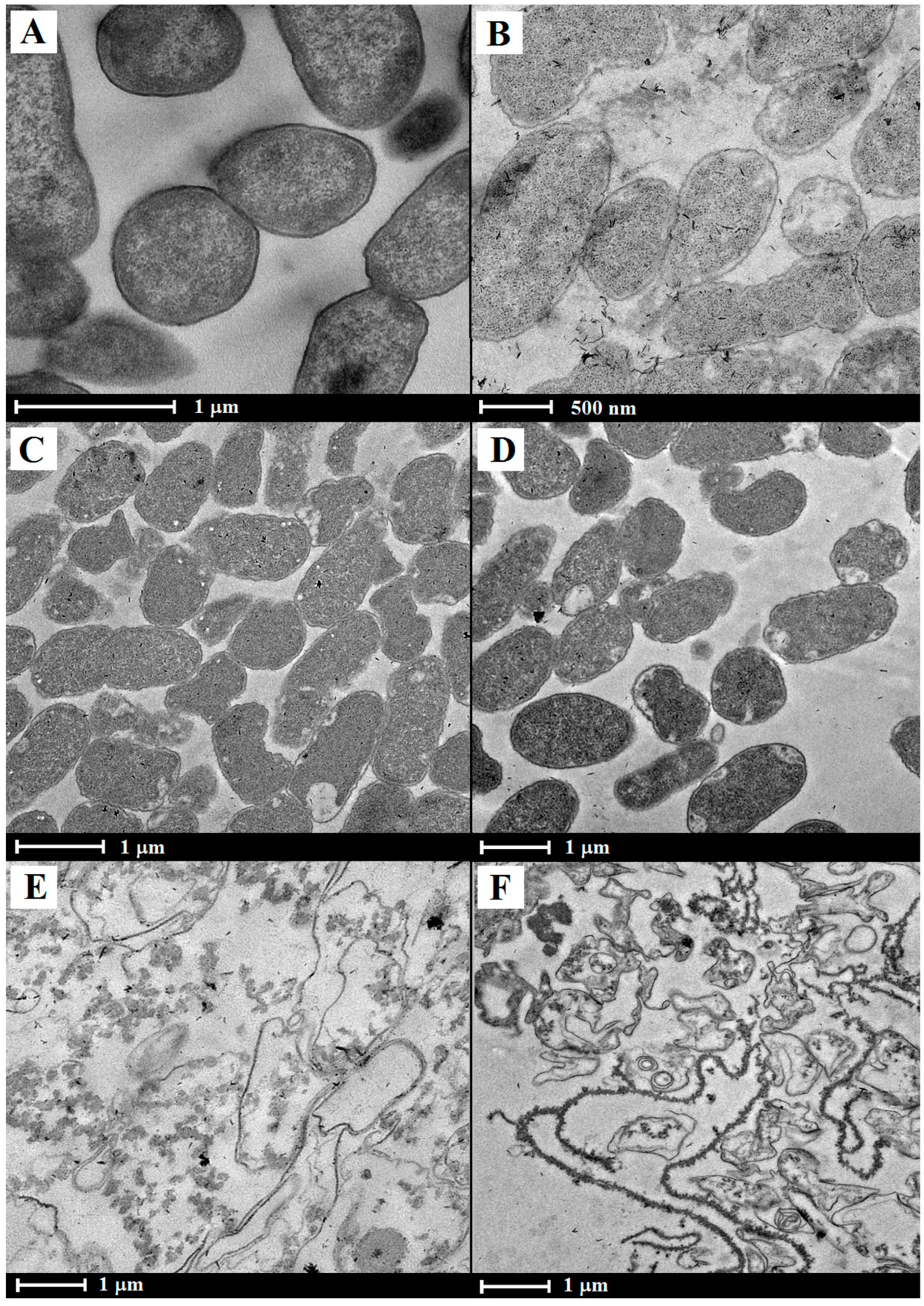 Vaccines 13 00059 g002