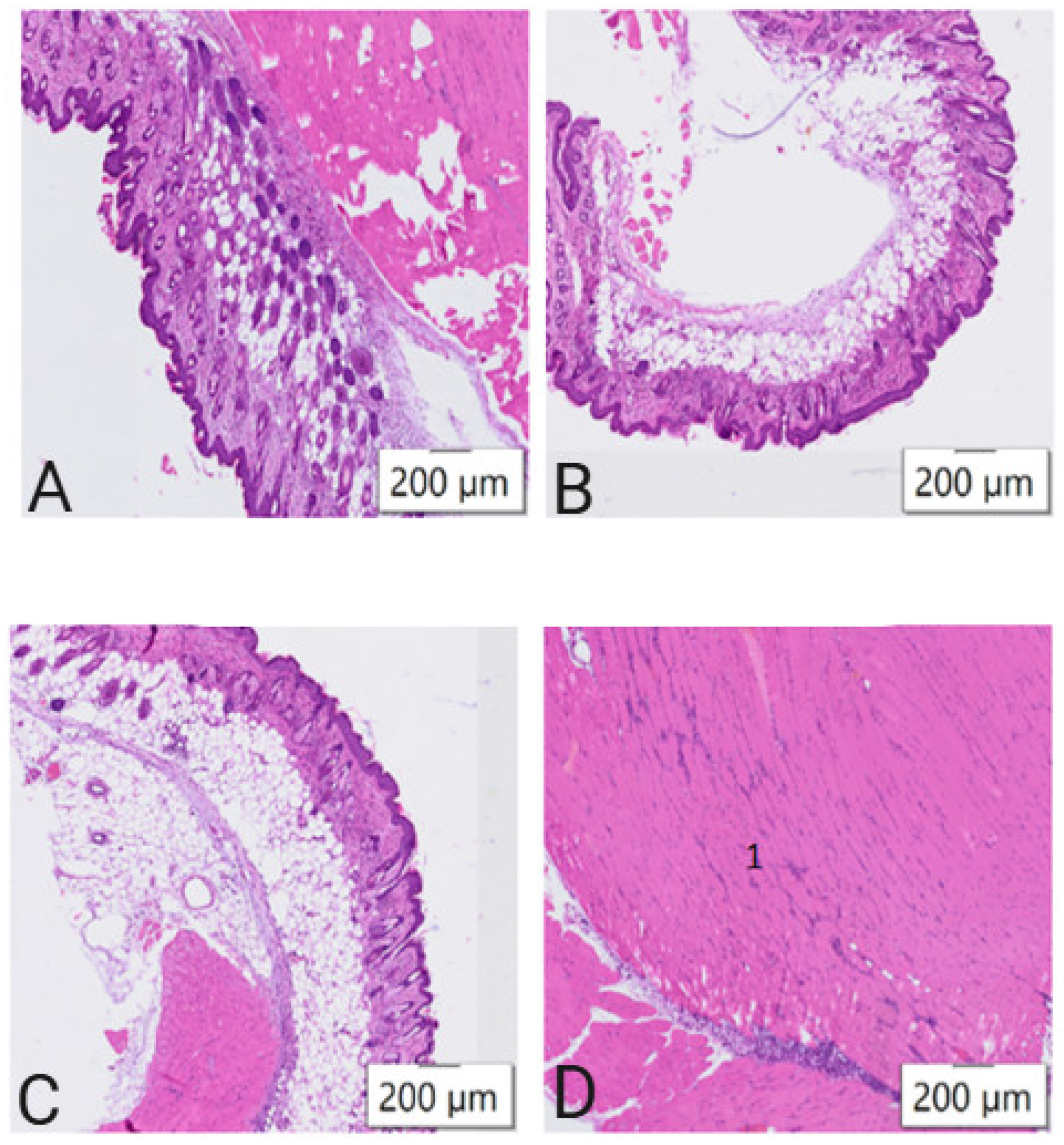 Vaccines 13 00065 g001 Vaccines 13 00065 g001