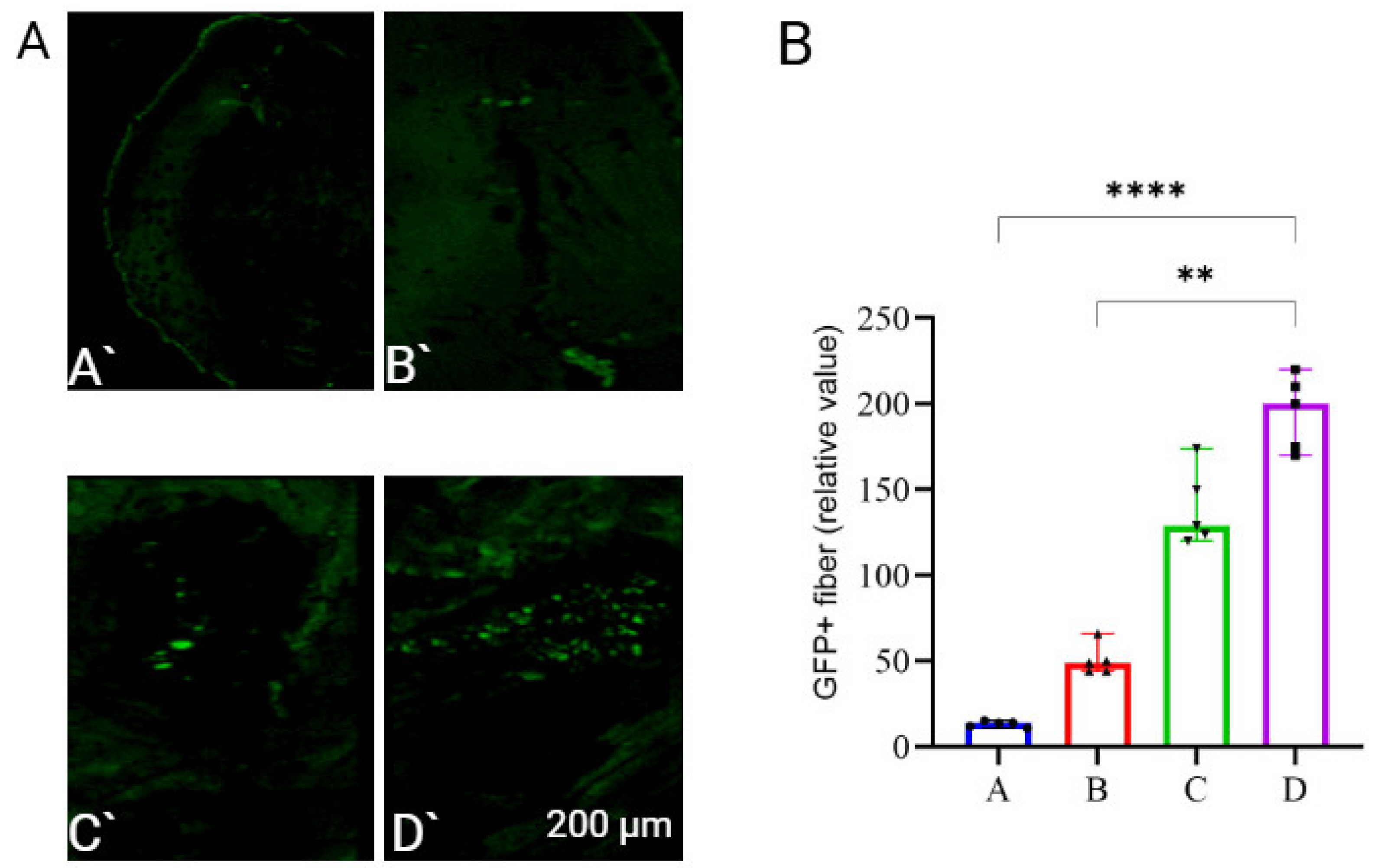 Vaccines 13 00065 g002 Vaccines 13 00065 g002