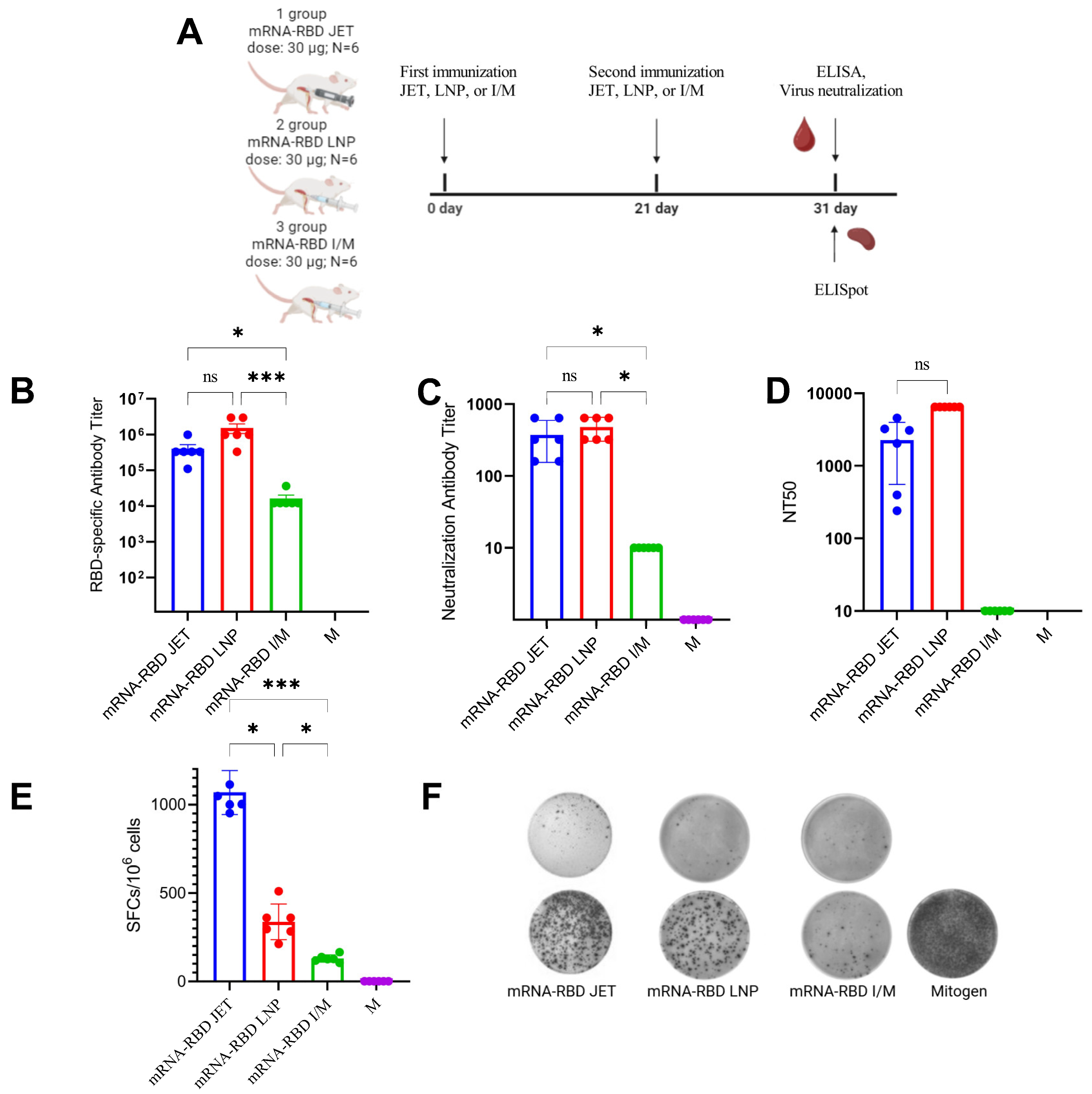 Vaccines 13 00065 g004 Vaccines 13 00065 g004