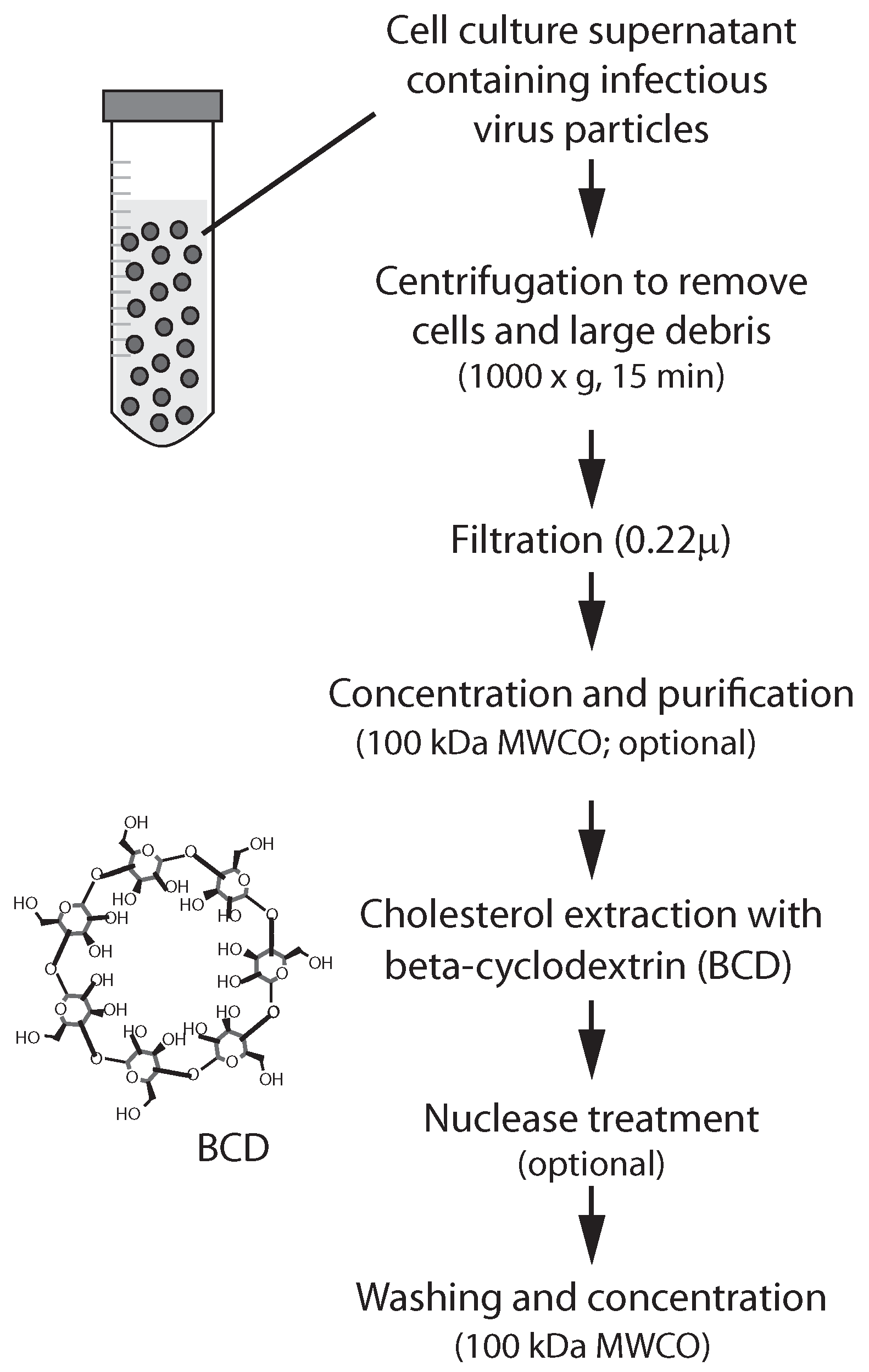 Vaccines 13 00079 g001 Vaccines 13 00079 g001