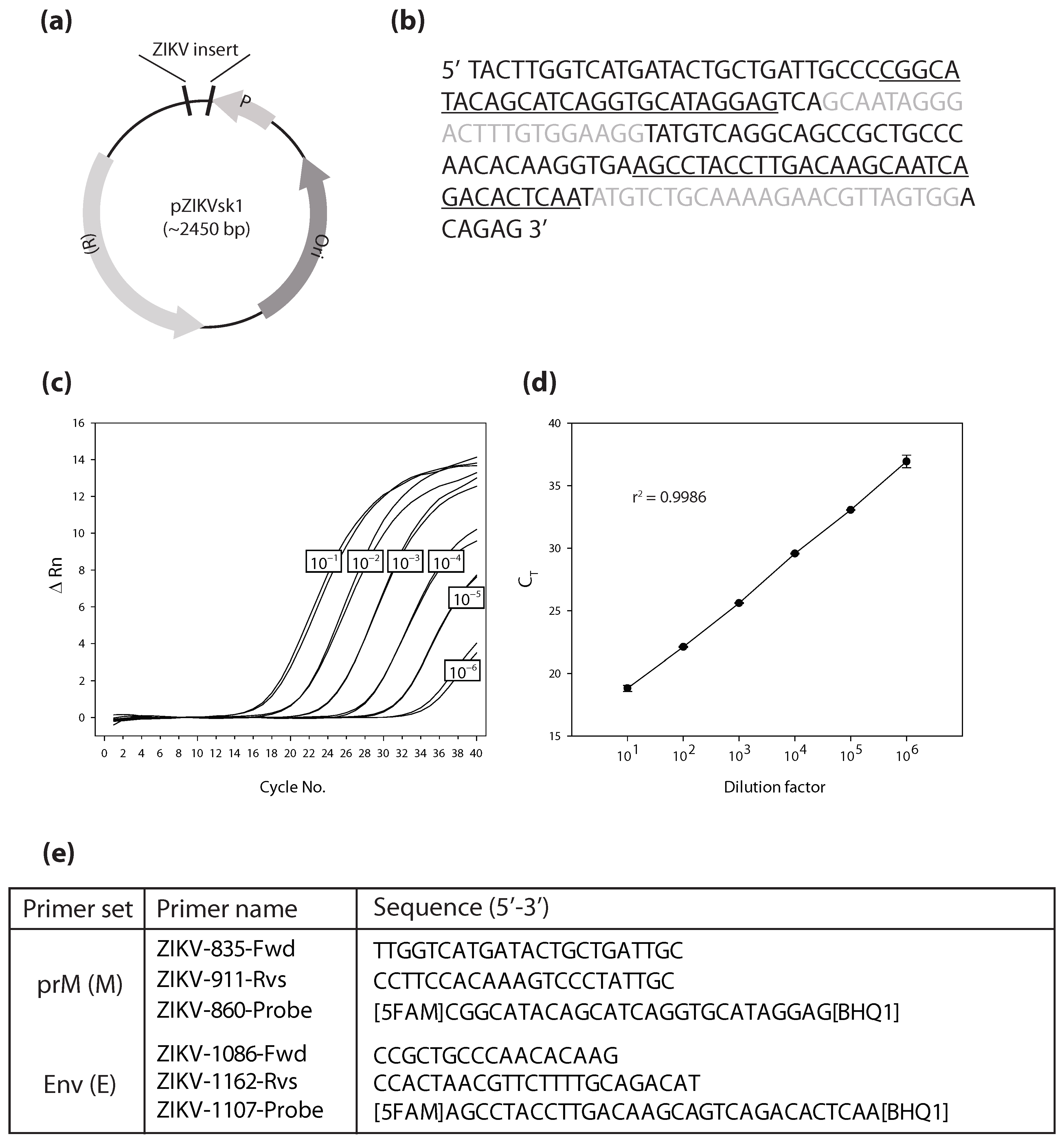 Vaccines 13 00079 g002 Vaccines 13 00079 g002