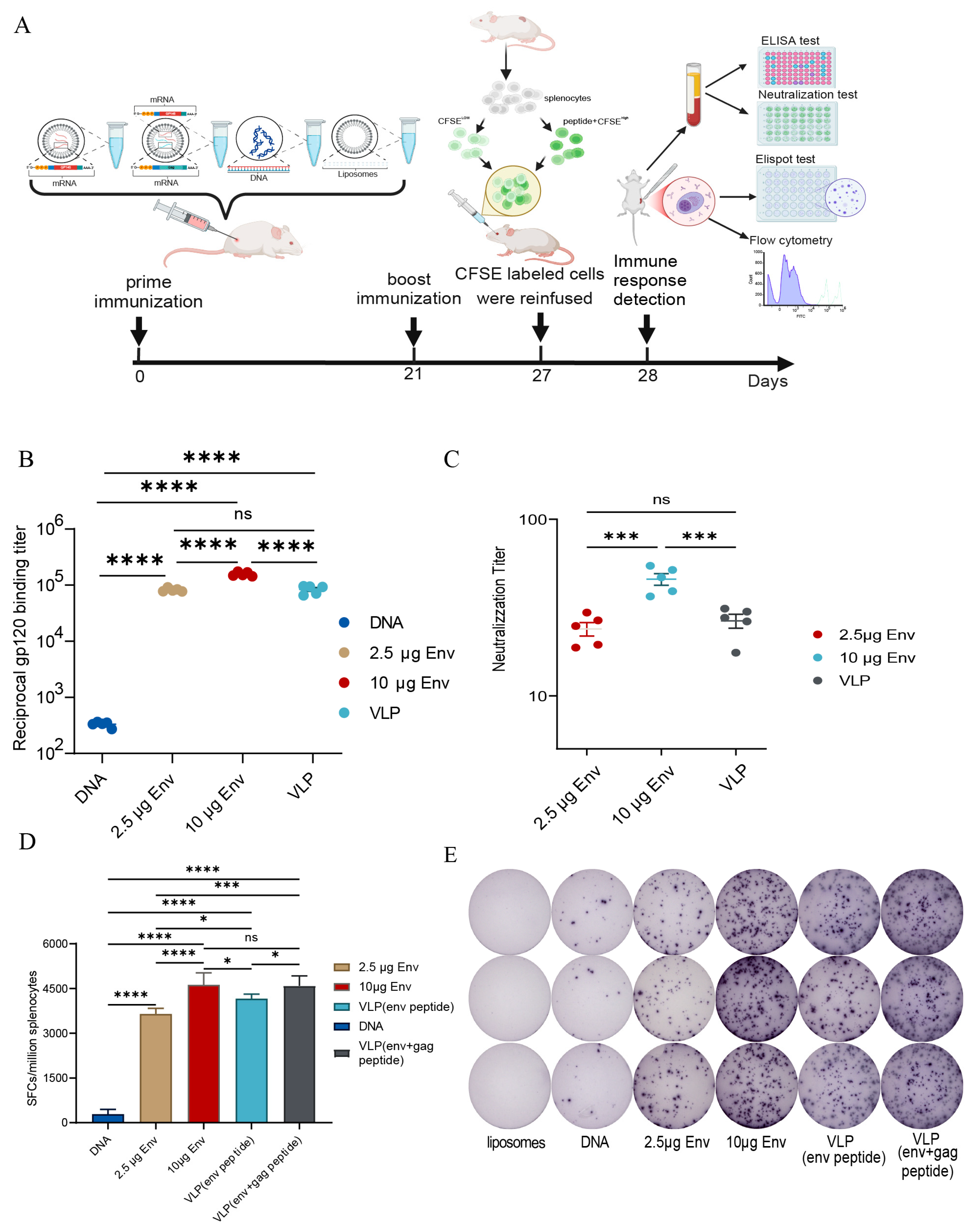 Vaccines 13 00084 g003