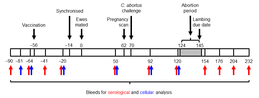 Vaccines 13 00089 g001