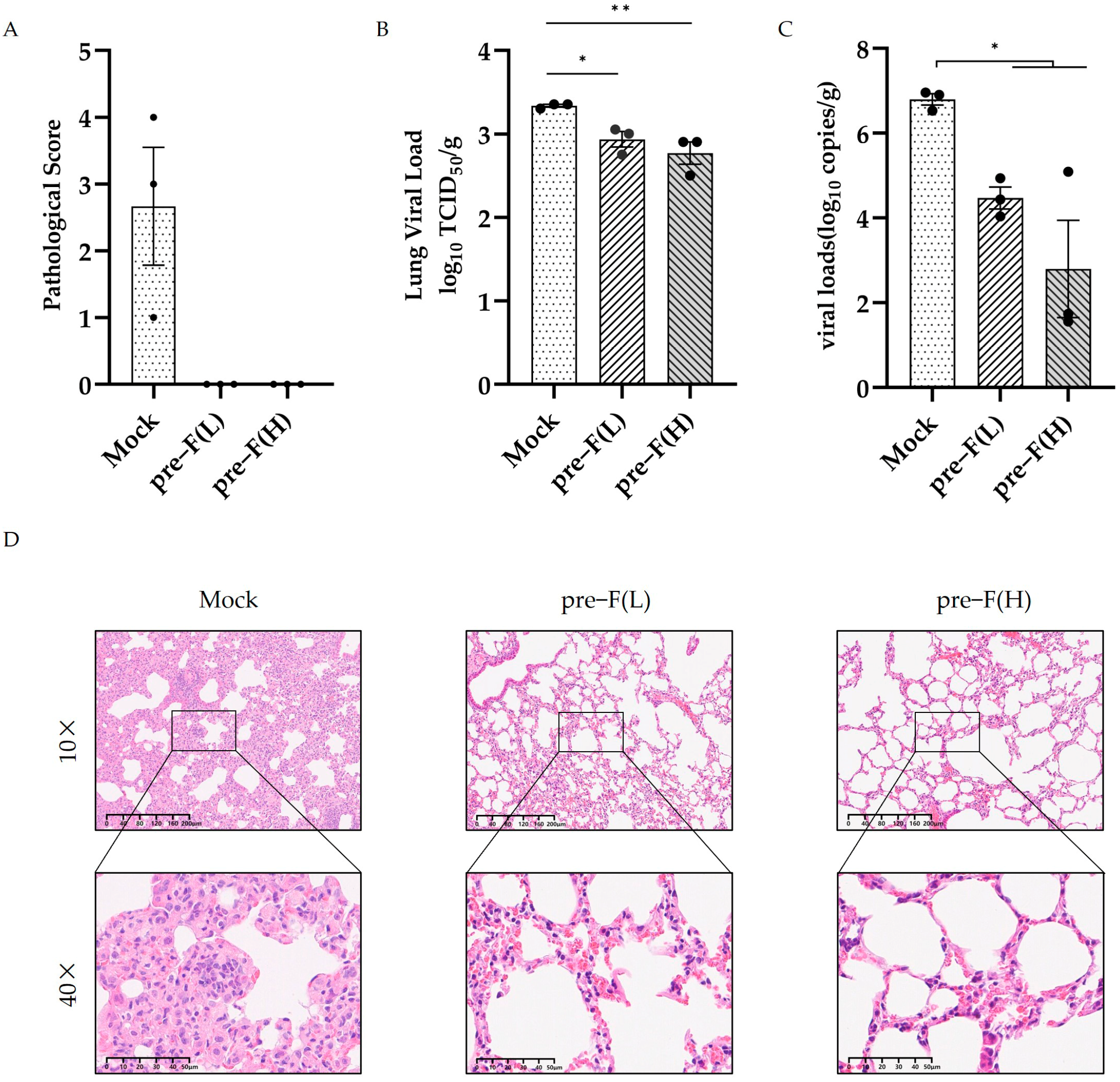 Vaccines 13 00093 g004