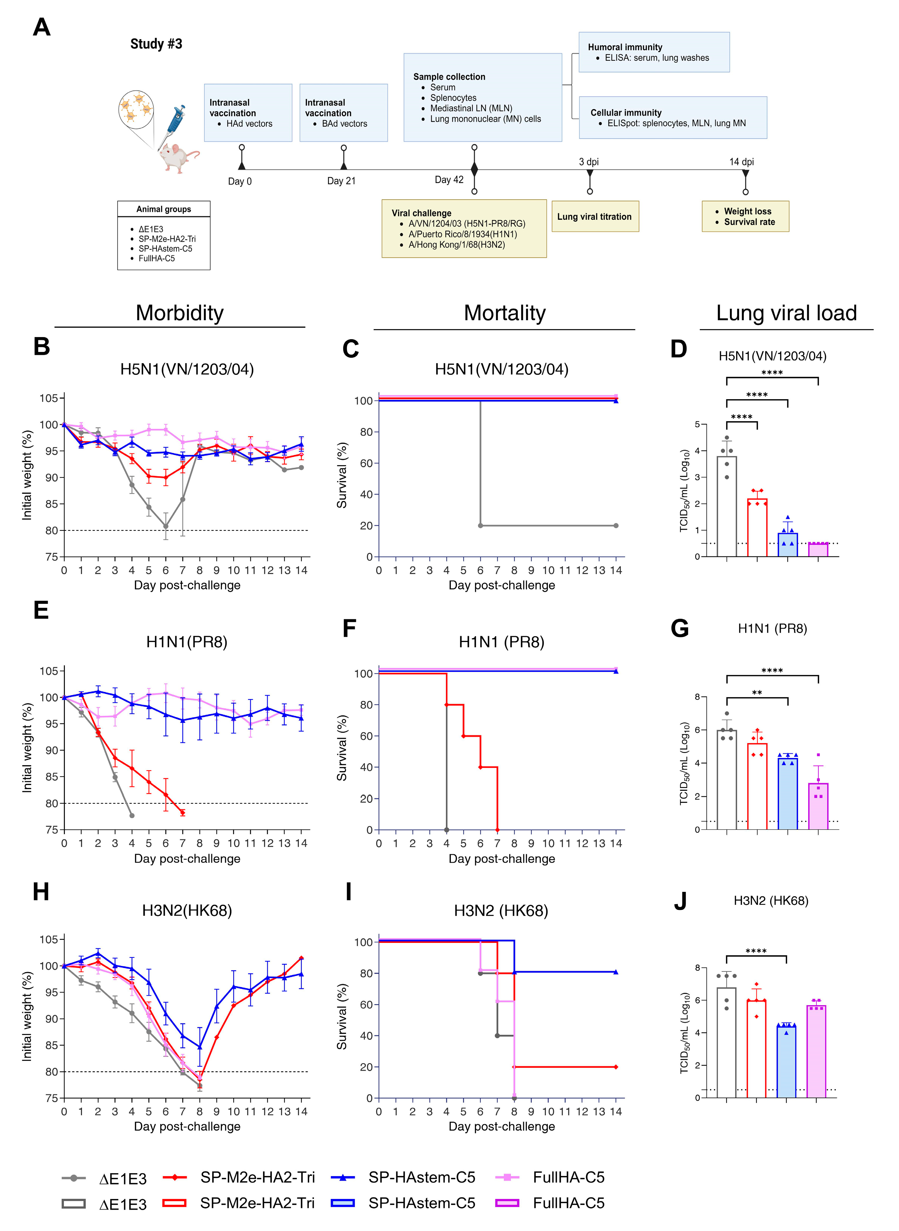 Vaccines 13 00095 g007