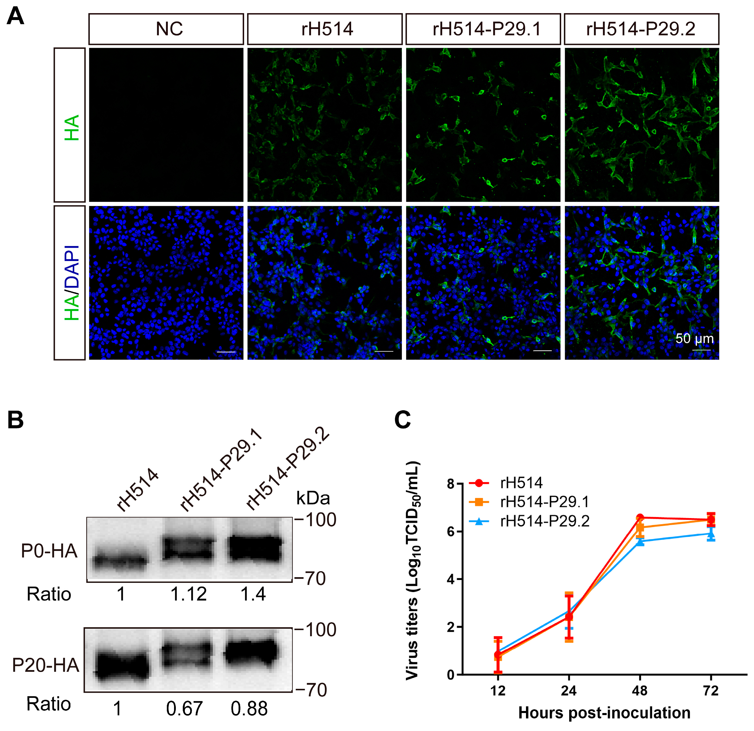 Vaccines 13 00099 g003 Vaccines 13 00099 g003