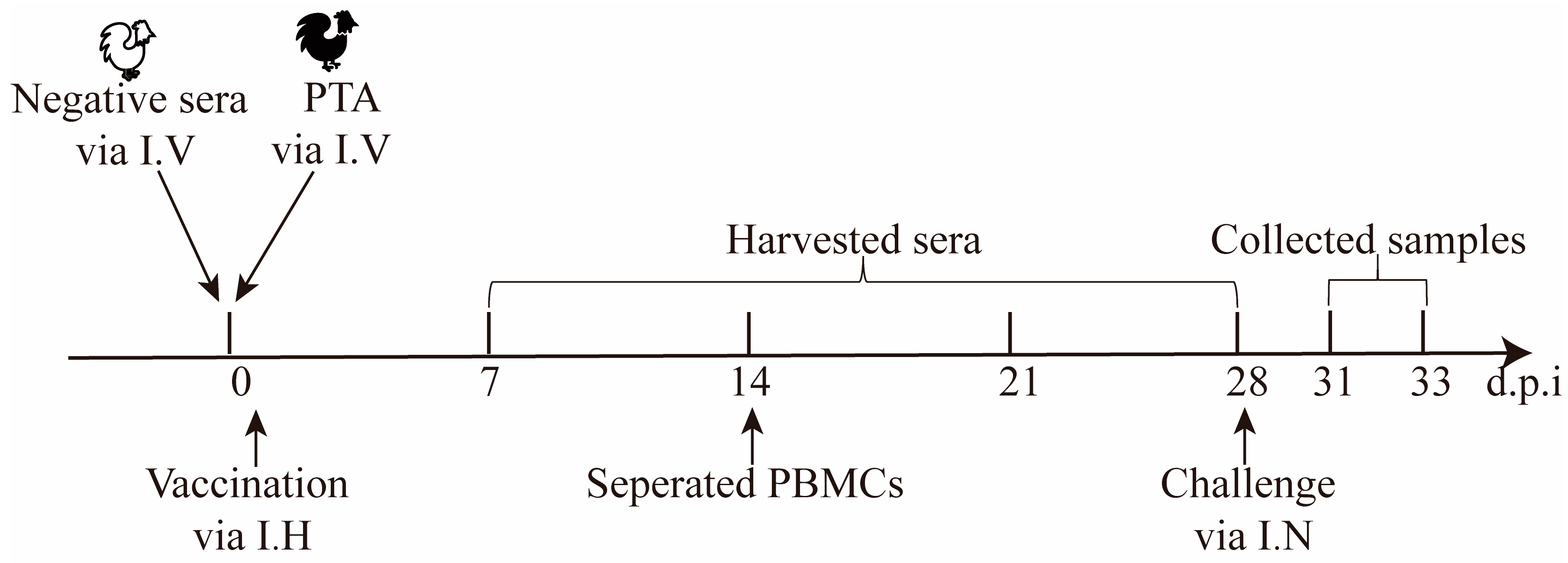 Vaccines 13 00099 g004 Vaccines 13 00099 g004