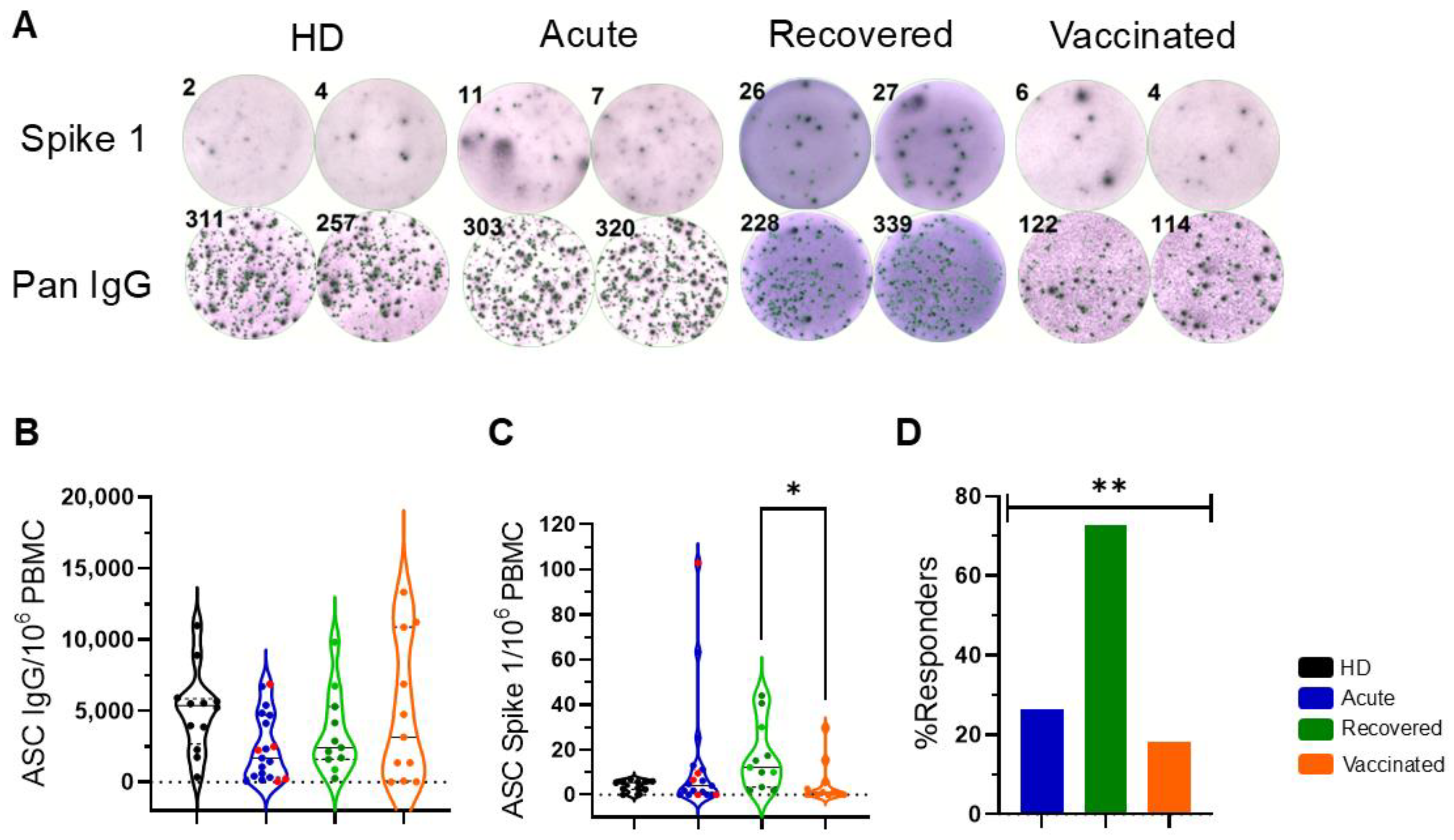 Vaccines 13 00101 g001