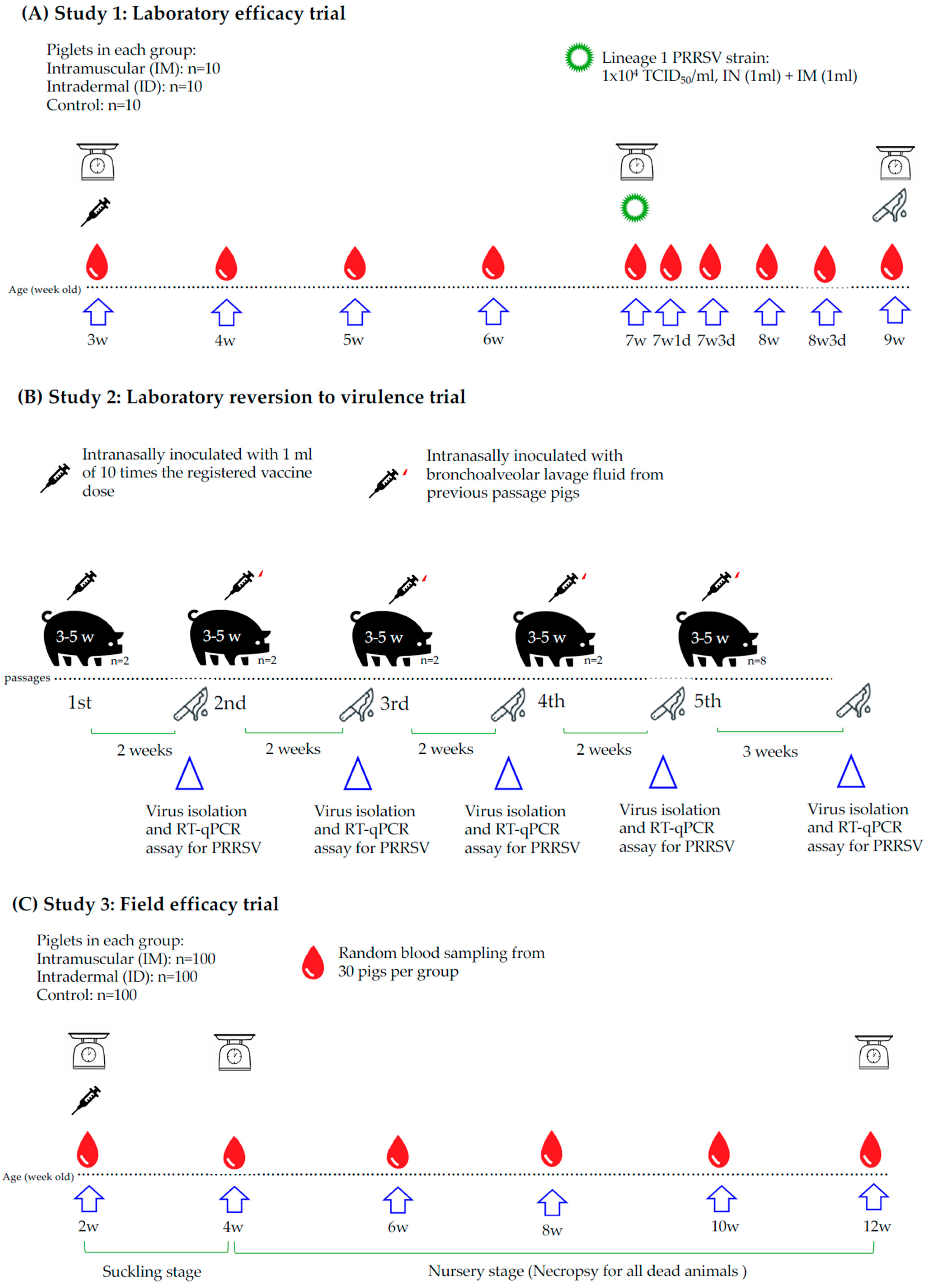 Vaccines 13 00102 g001