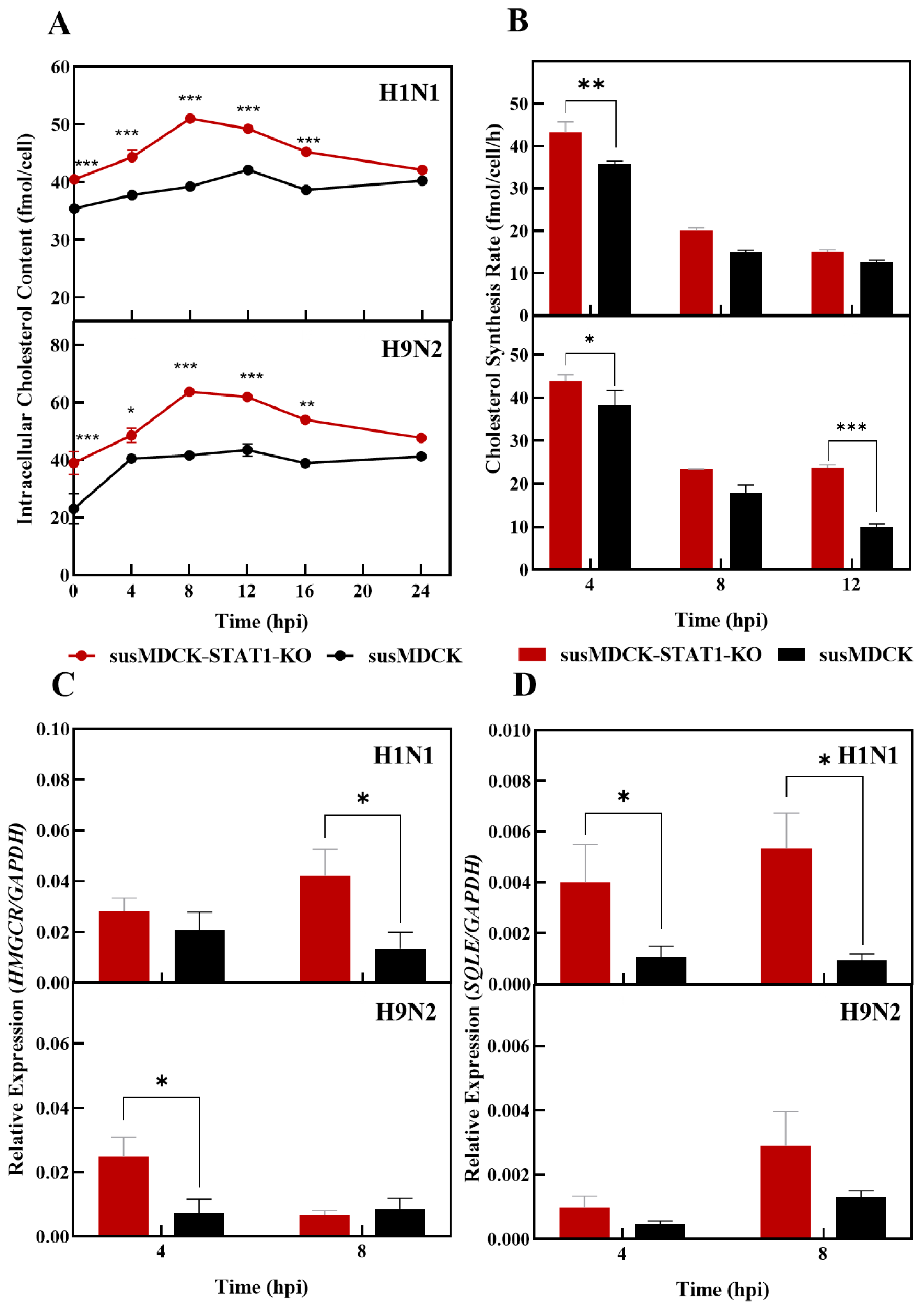 Vaccines 13 00106 g005 Vaccines 13 00106 g005