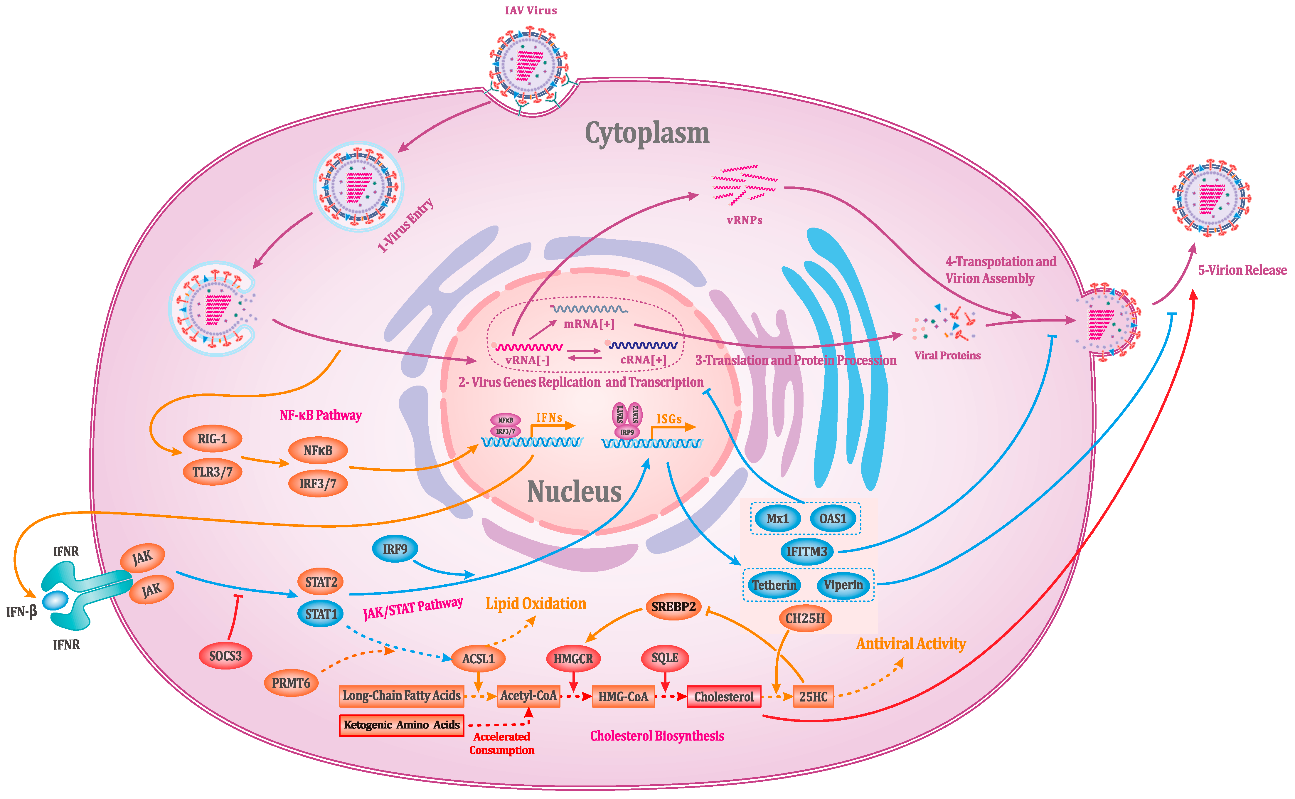 Vaccines 13 00106 g007 Vaccines 13 00106 g007