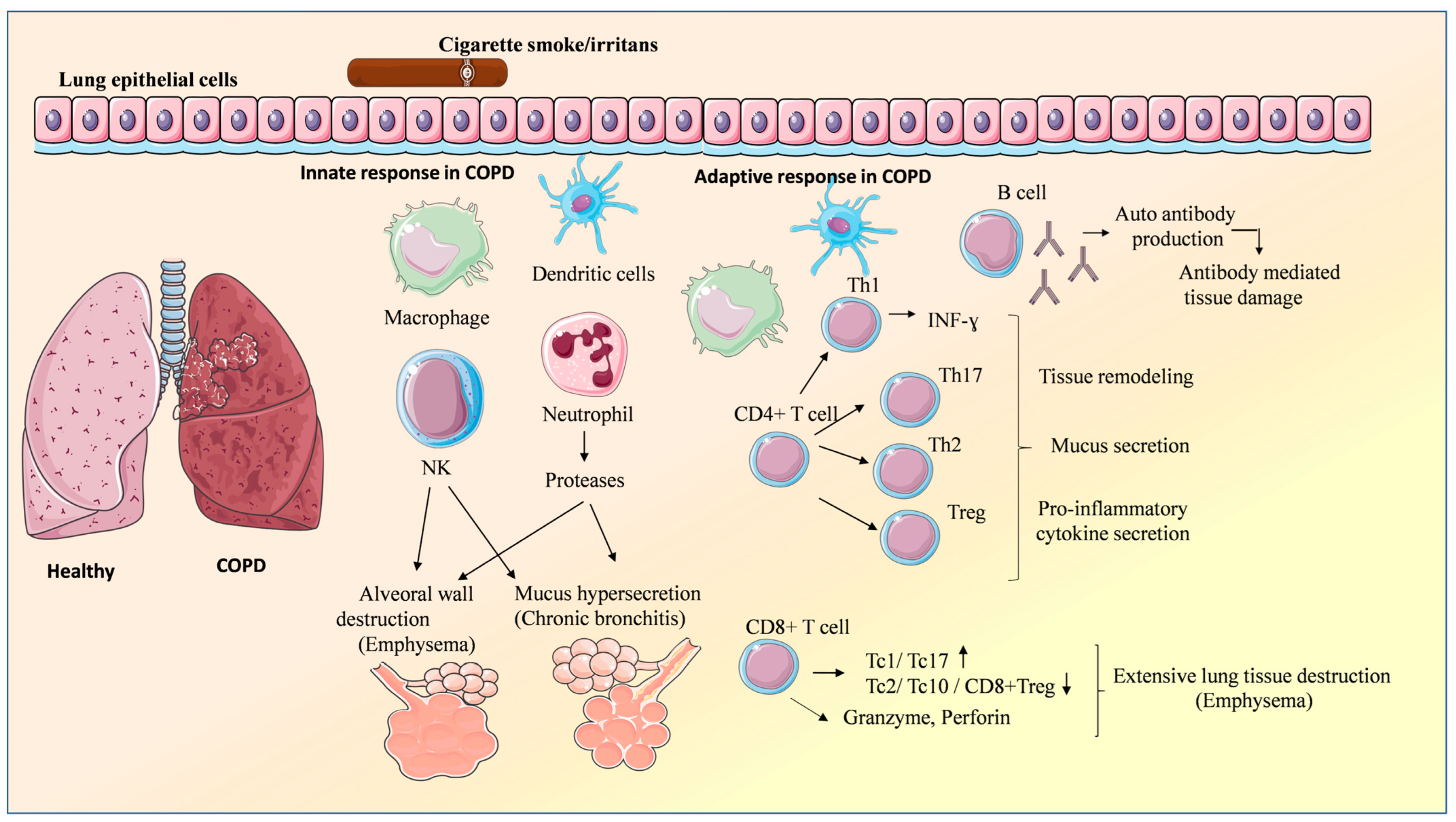 Vaccines 13 00107 g001 Vaccines 13 00107 g001