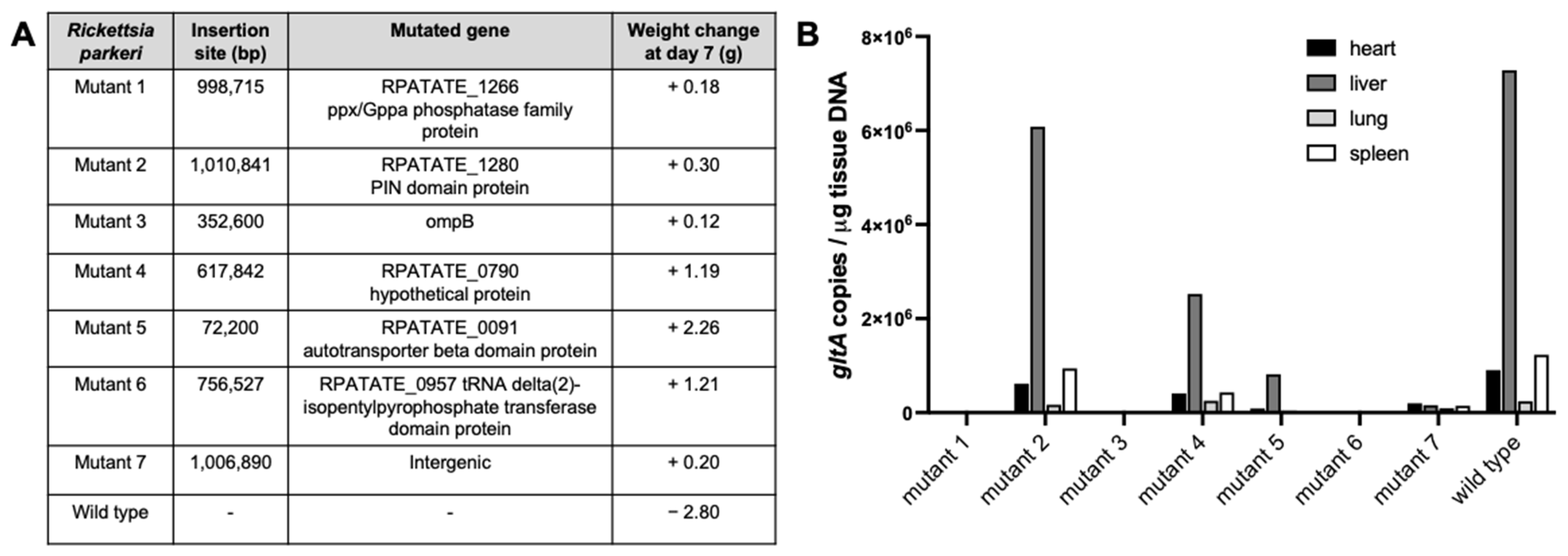 Vaccines 13 00109 g002