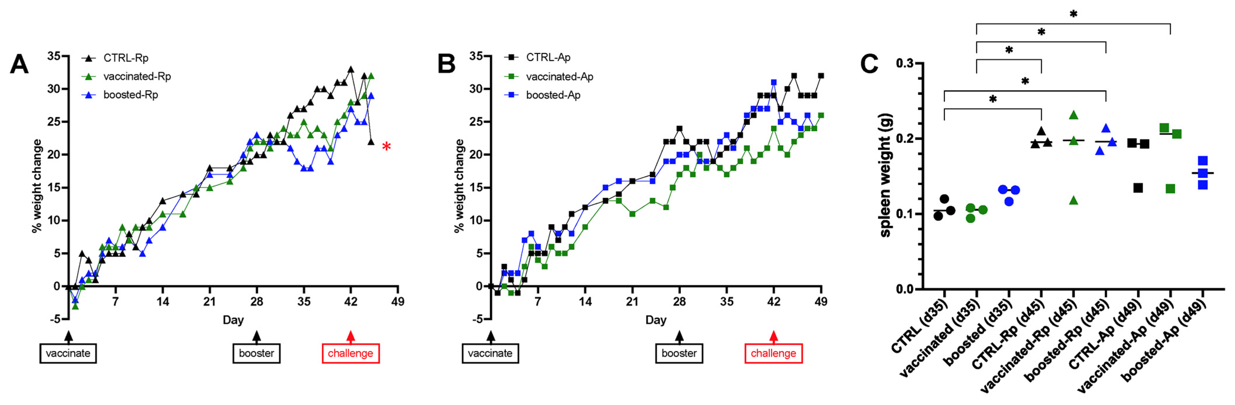 Vaccines 13 00109 g008