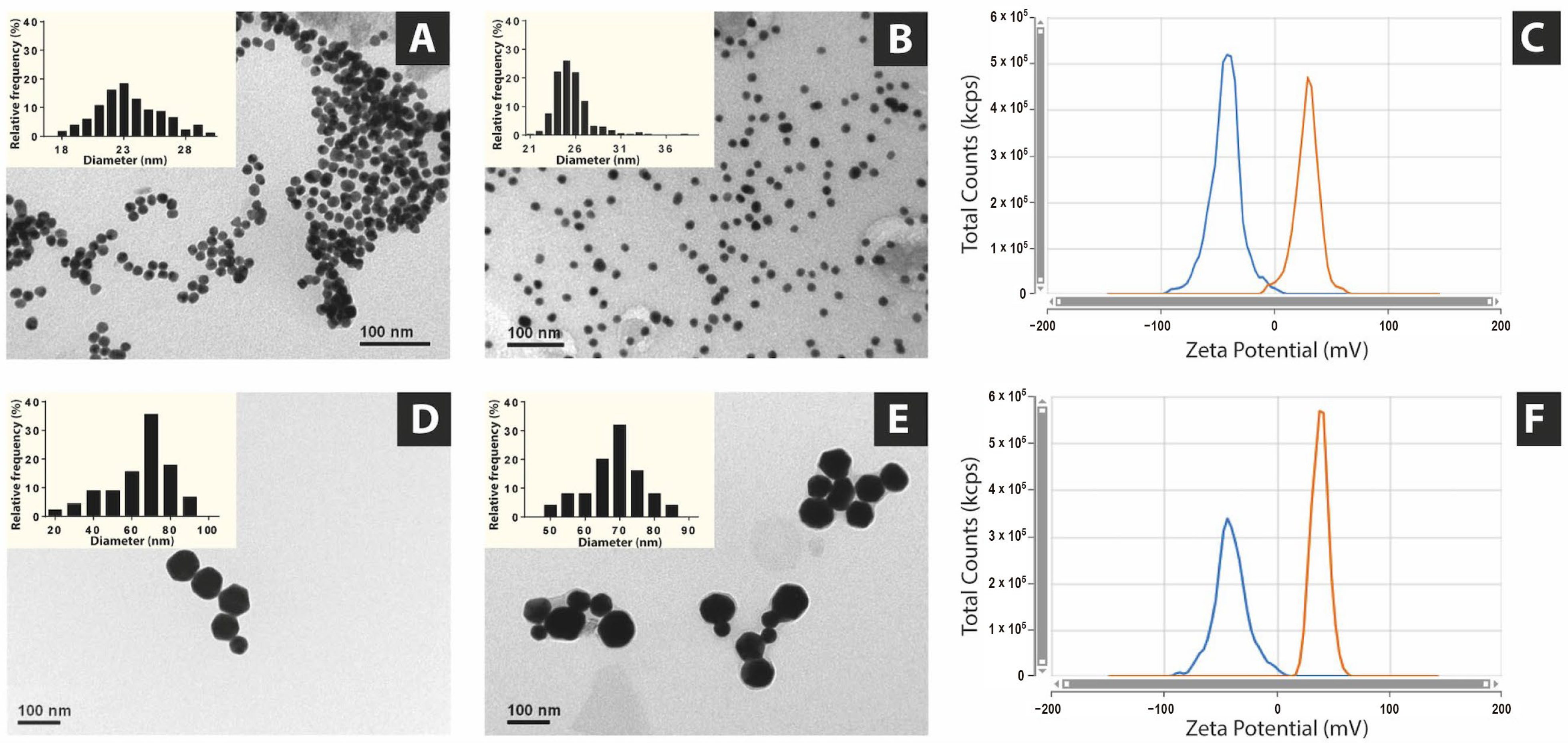 Vaccines 13 00119 g002