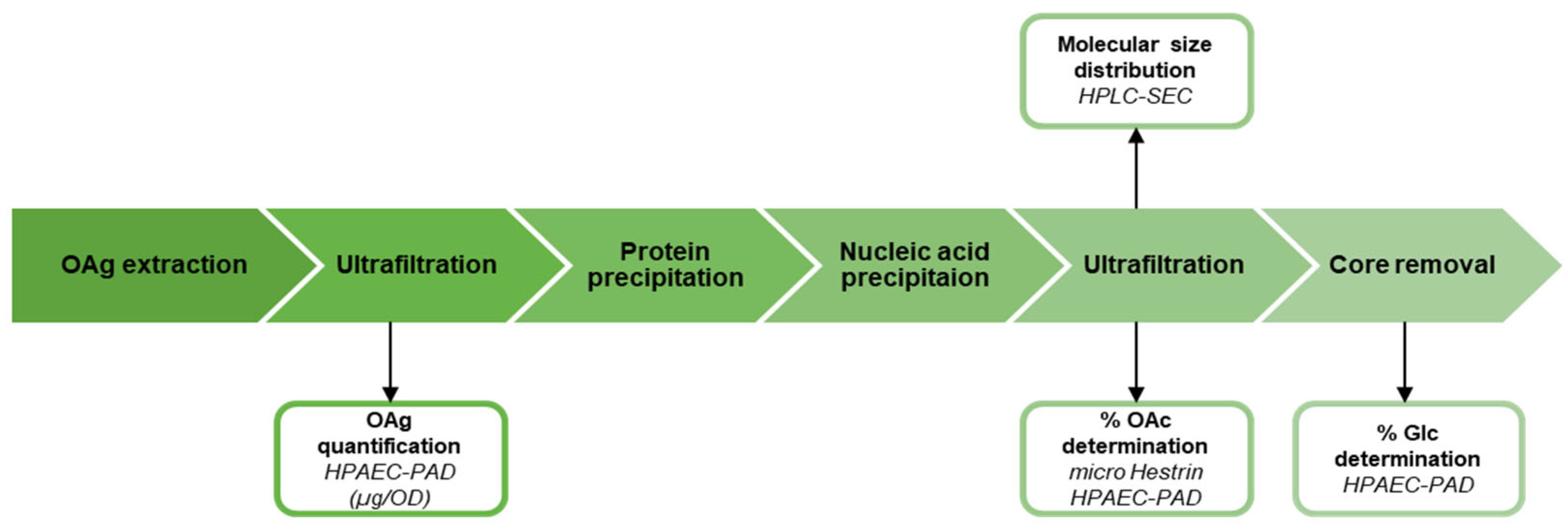 Vaccines 13 00122 sch001 Vaccines 13 00122 sch001