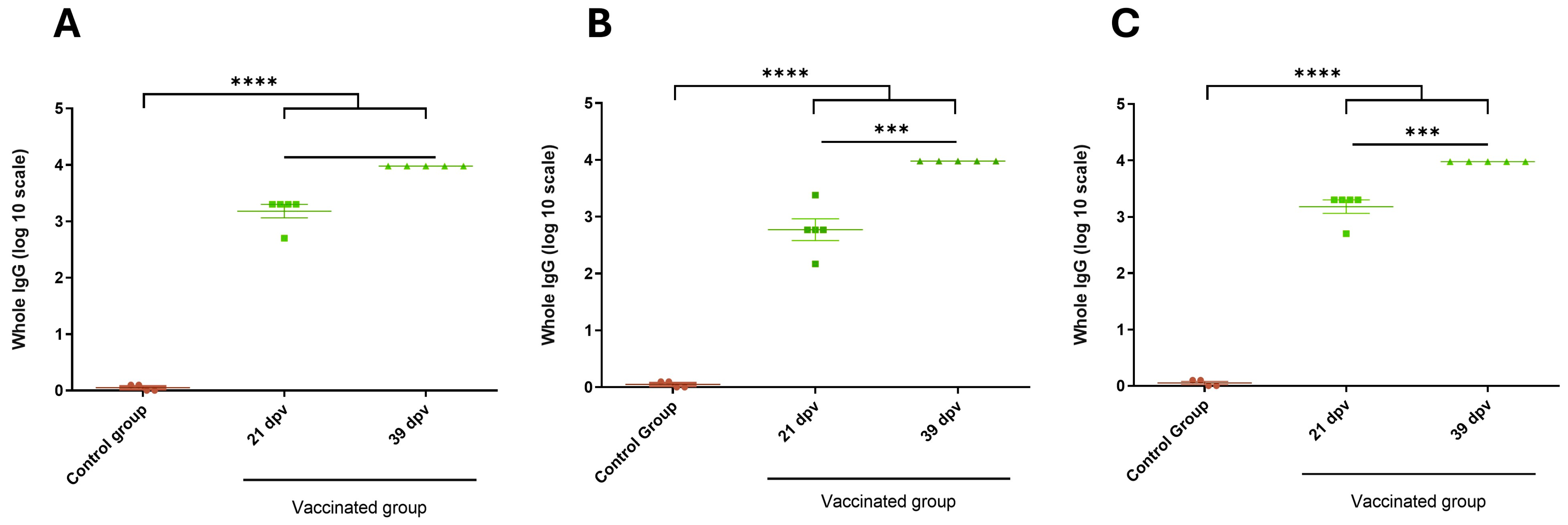 Vaccines 13 00124 g005