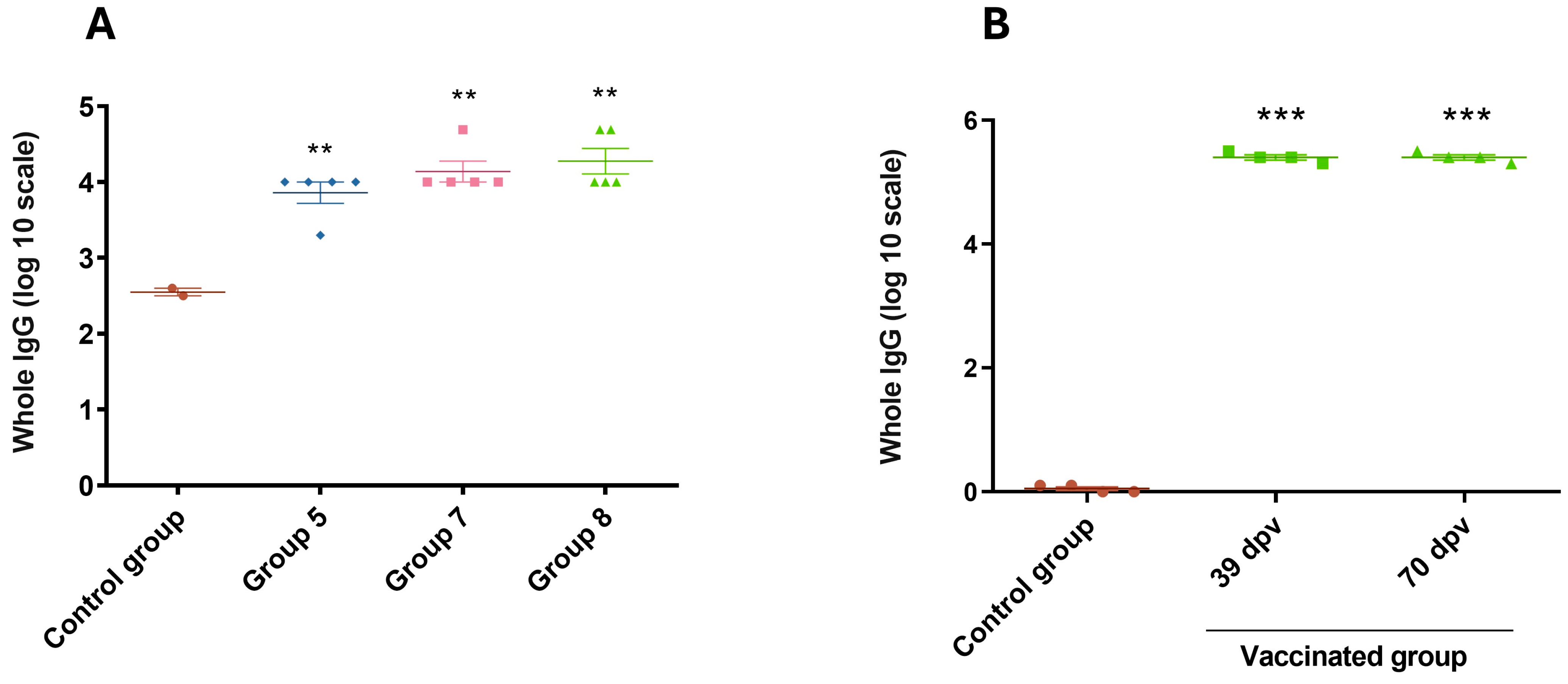 Vaccines 13 00124 g006