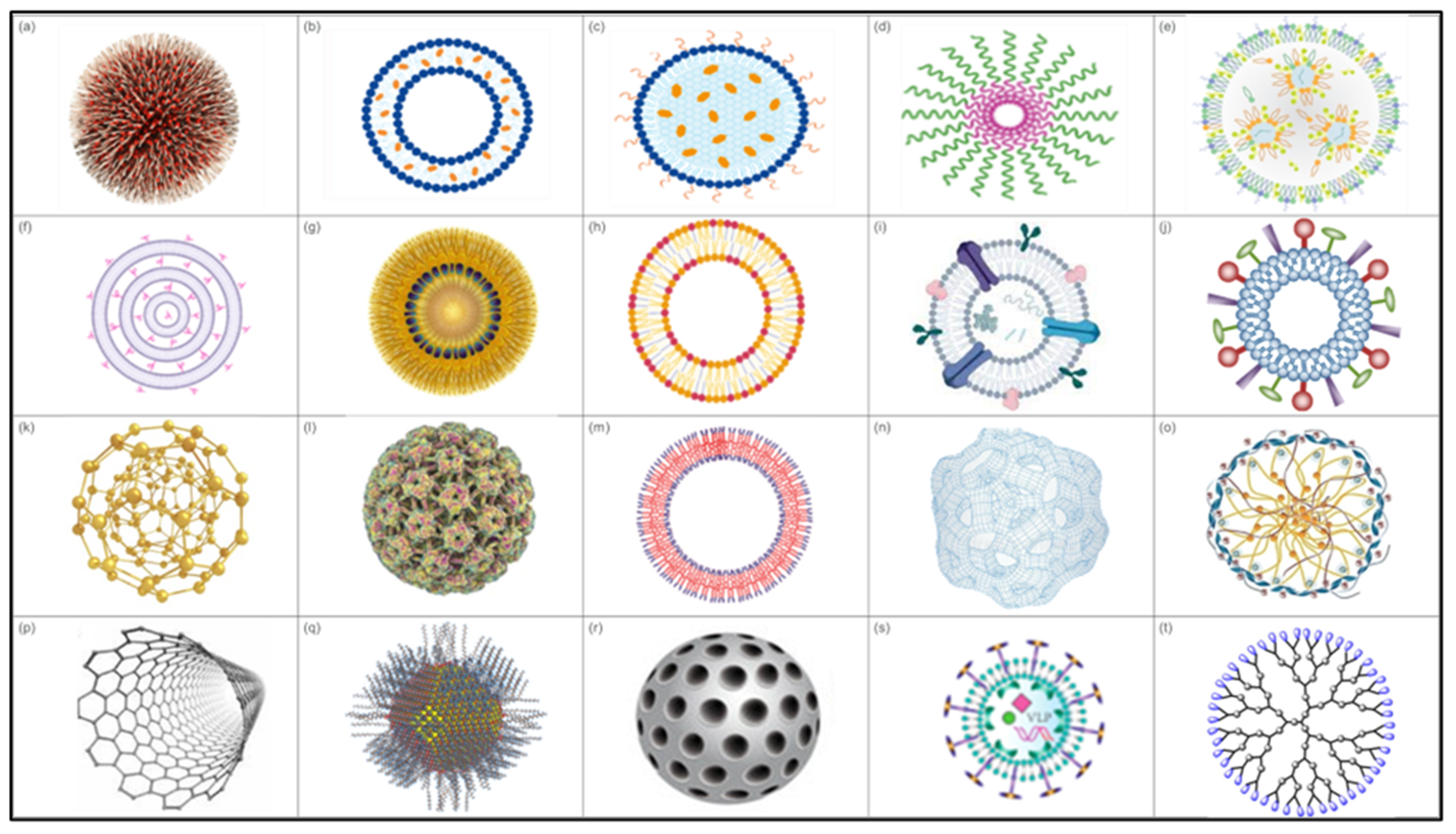 Vaccines 13 00126 g003