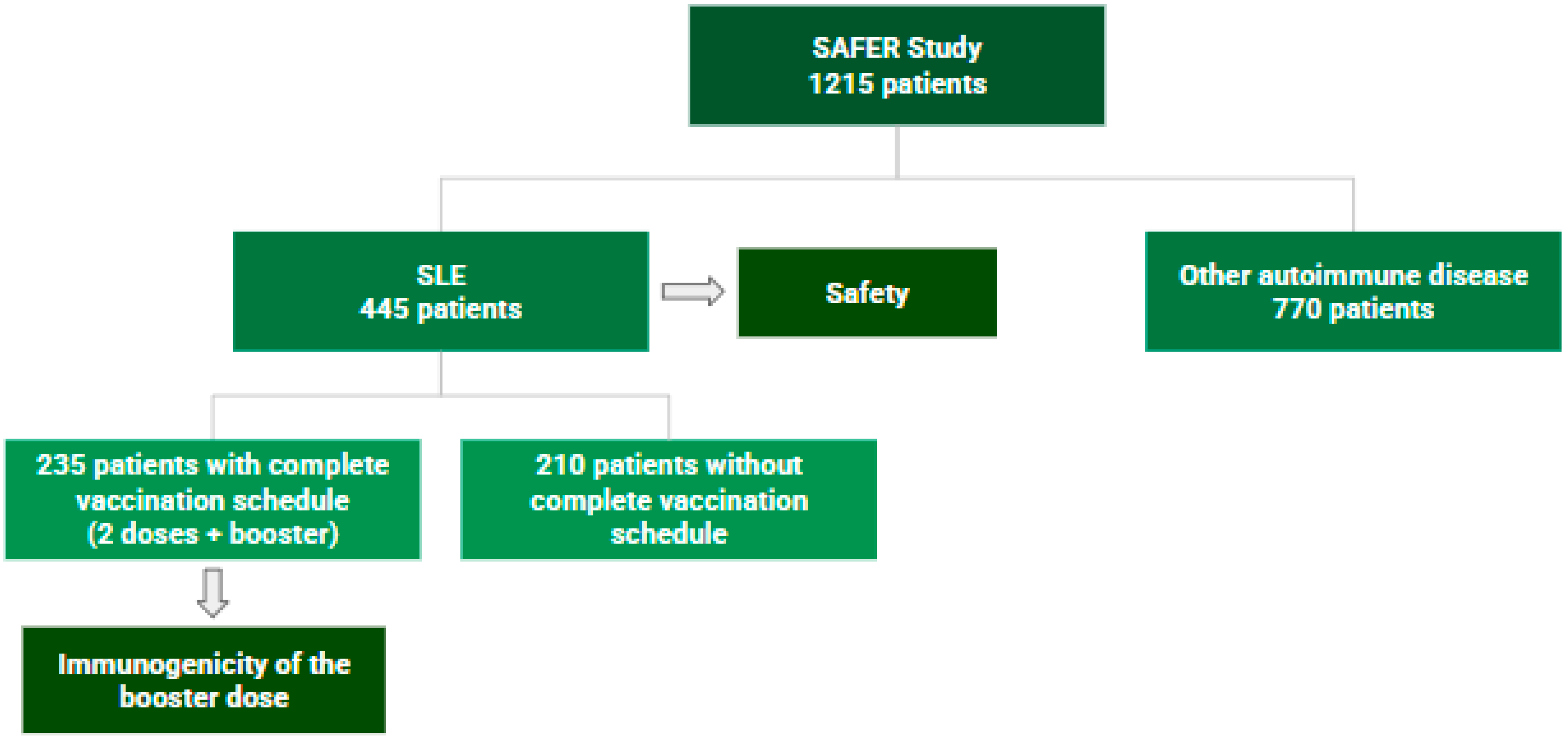 Vaccines 13 00127 g002
