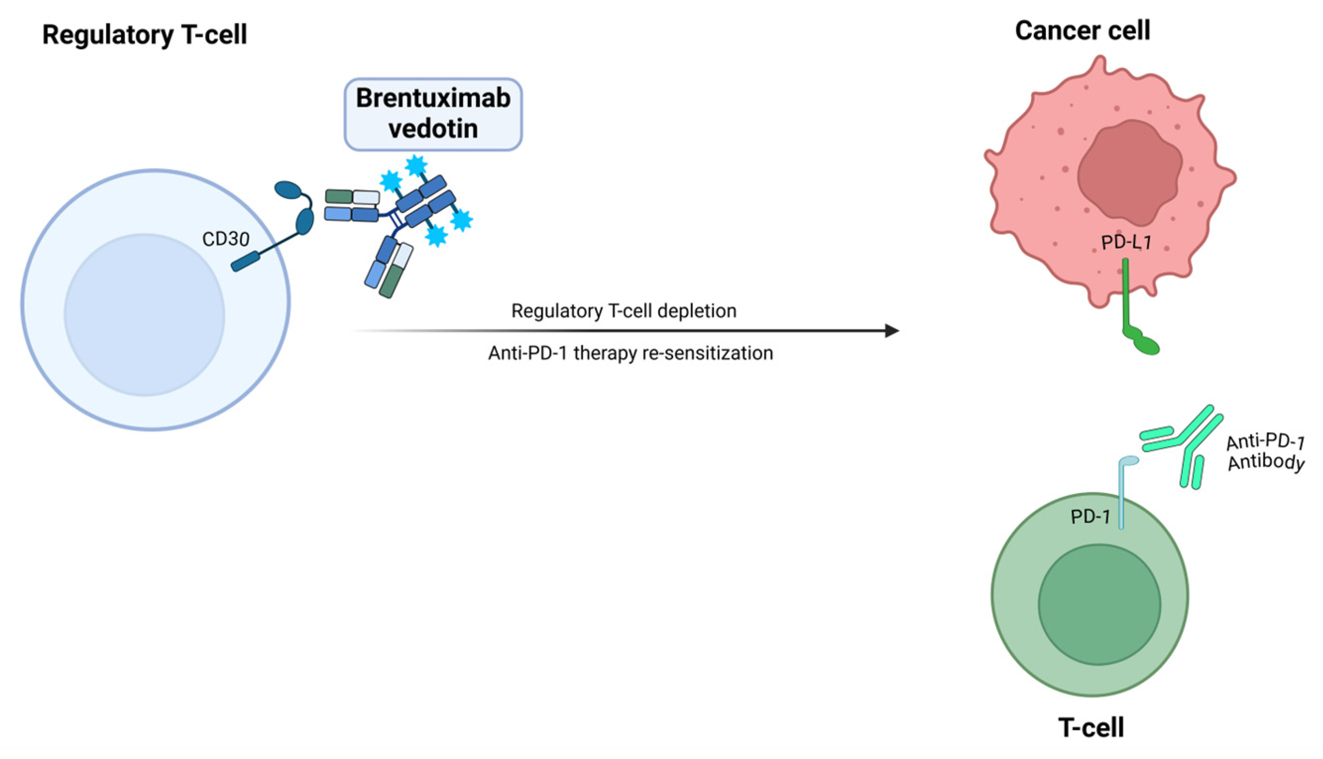 Vaccines 13 00128 g001