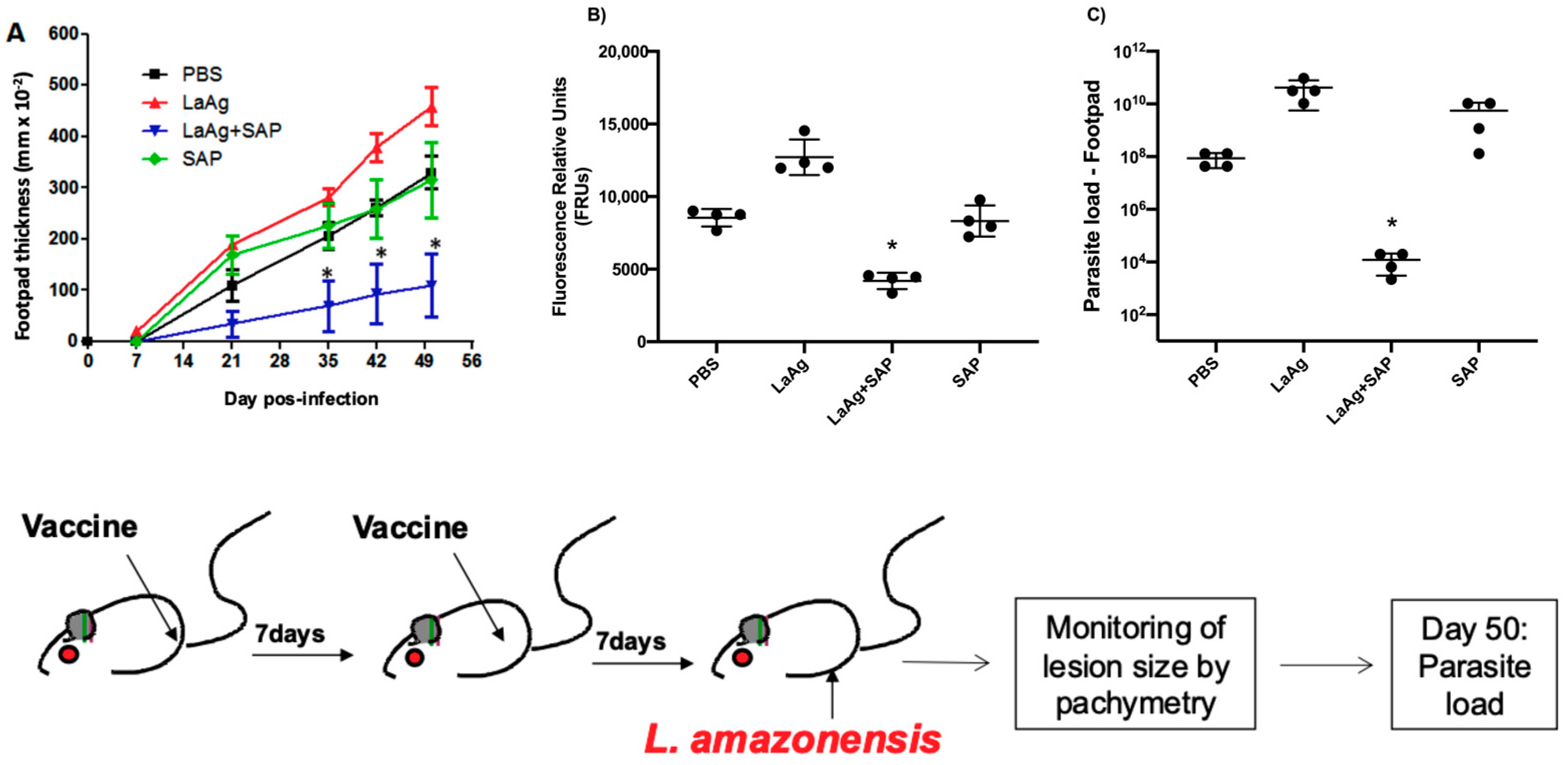 Vaccines 13 00129 g007