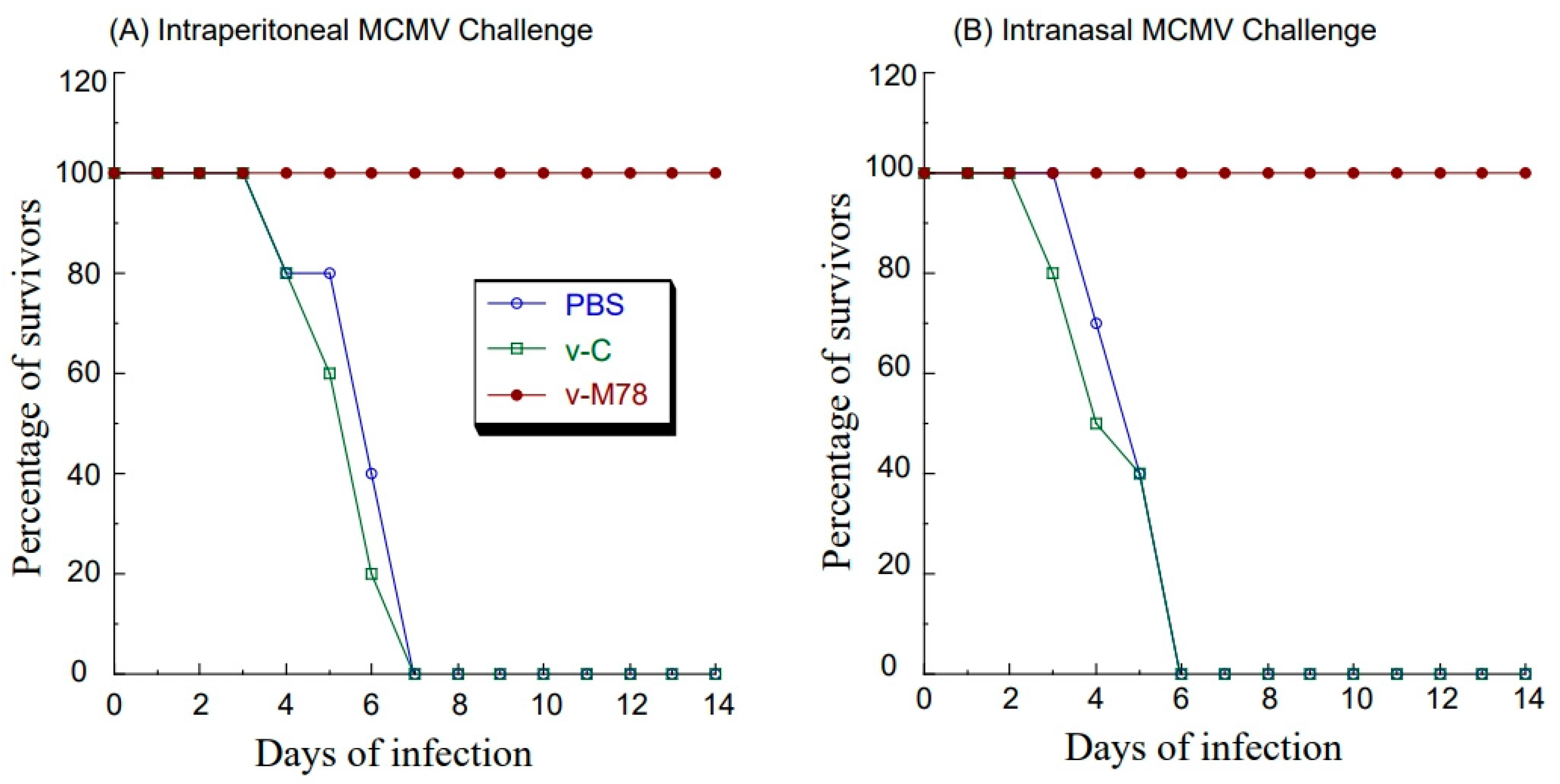 Vaccines 13 00137 g005