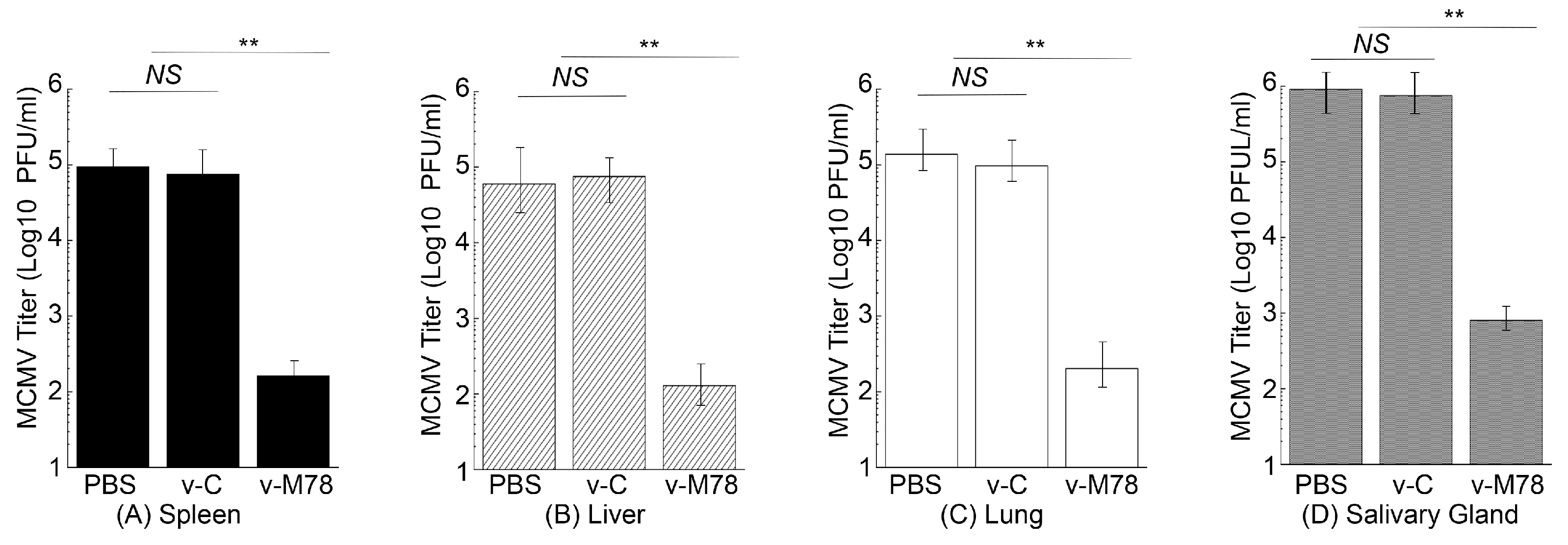 Vaccines 13 00137 g006