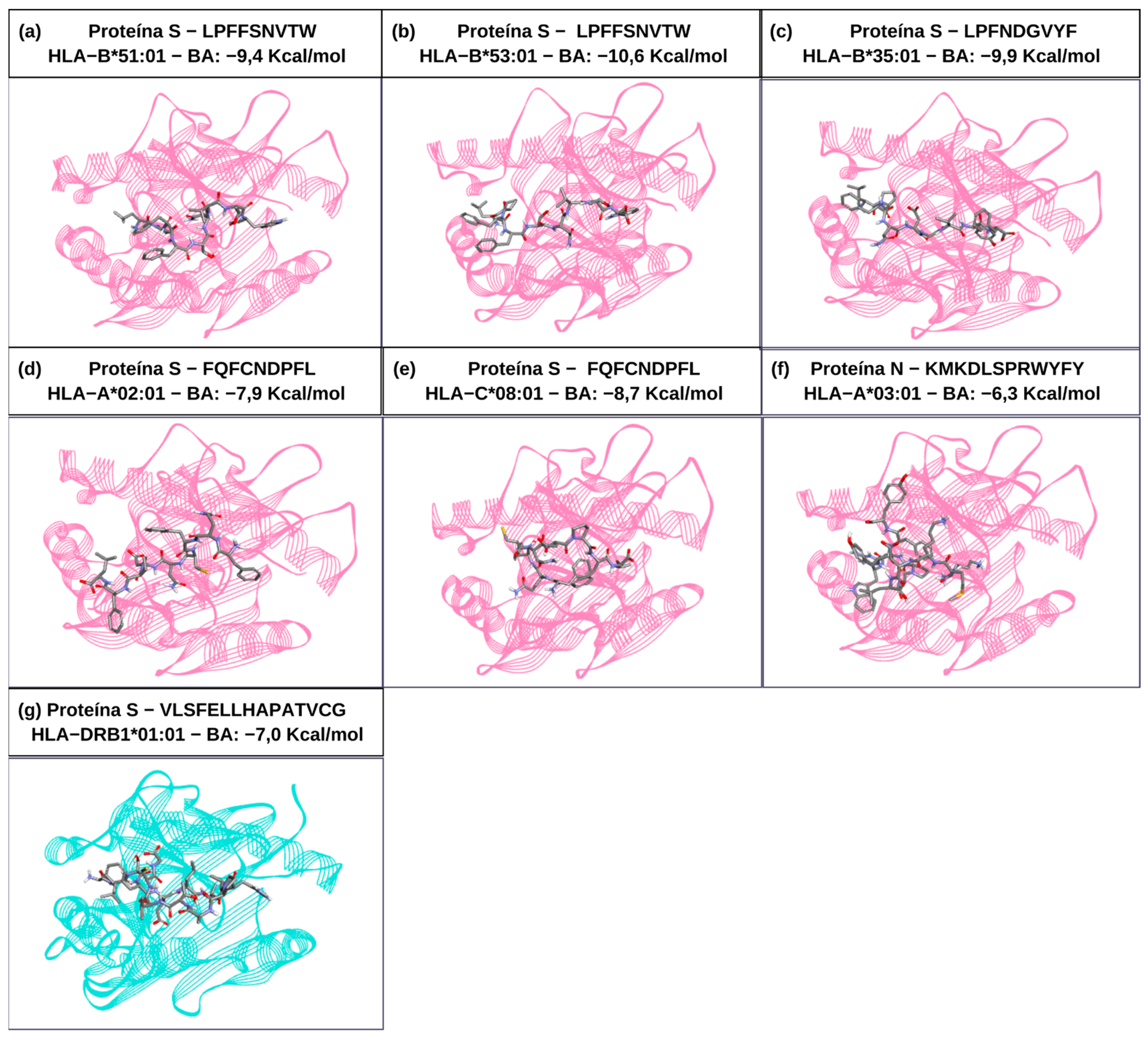 Vaccines 13 00149 g003