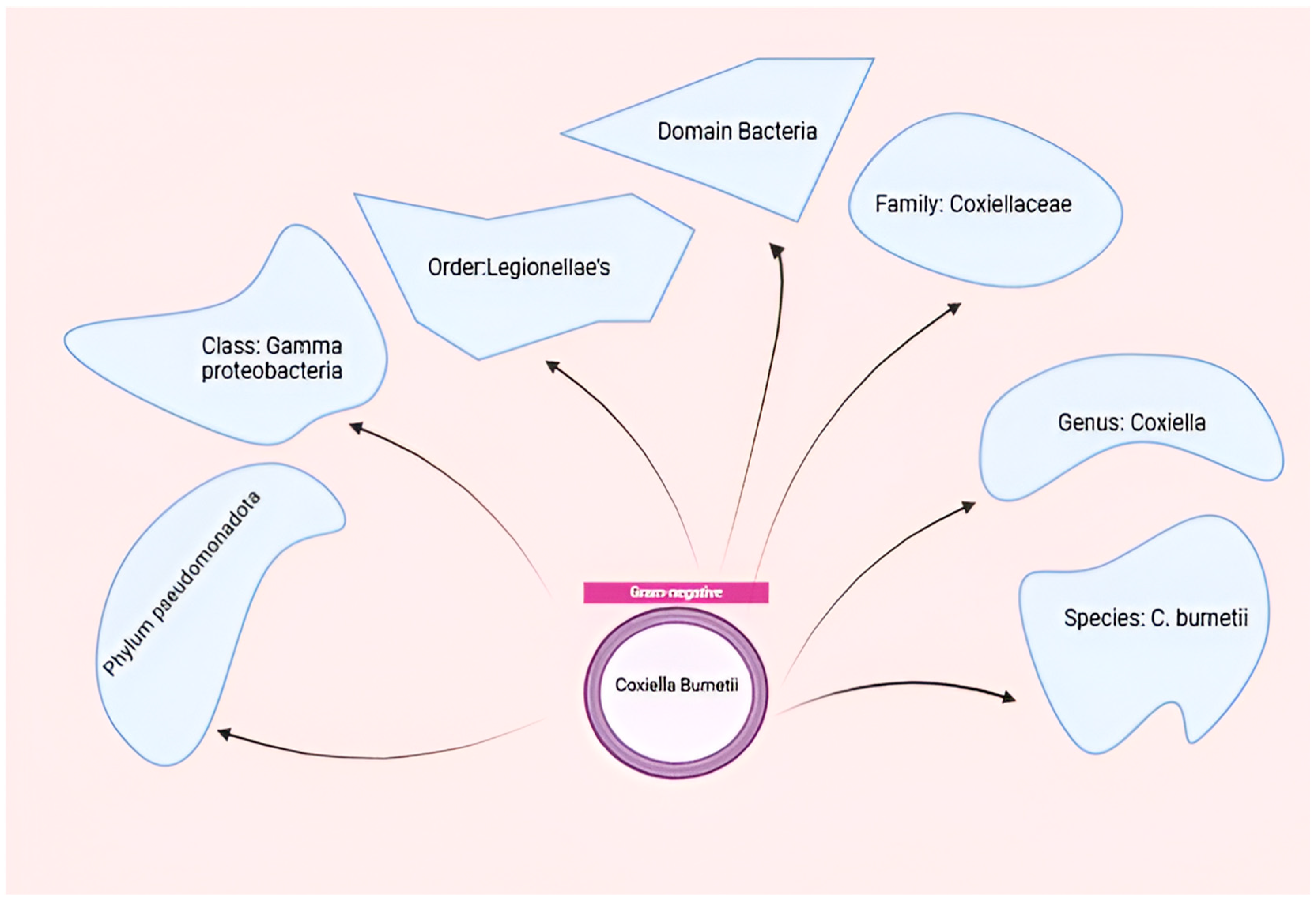Vaccines 13 00151 g002 Vaccines 13 00151 g002