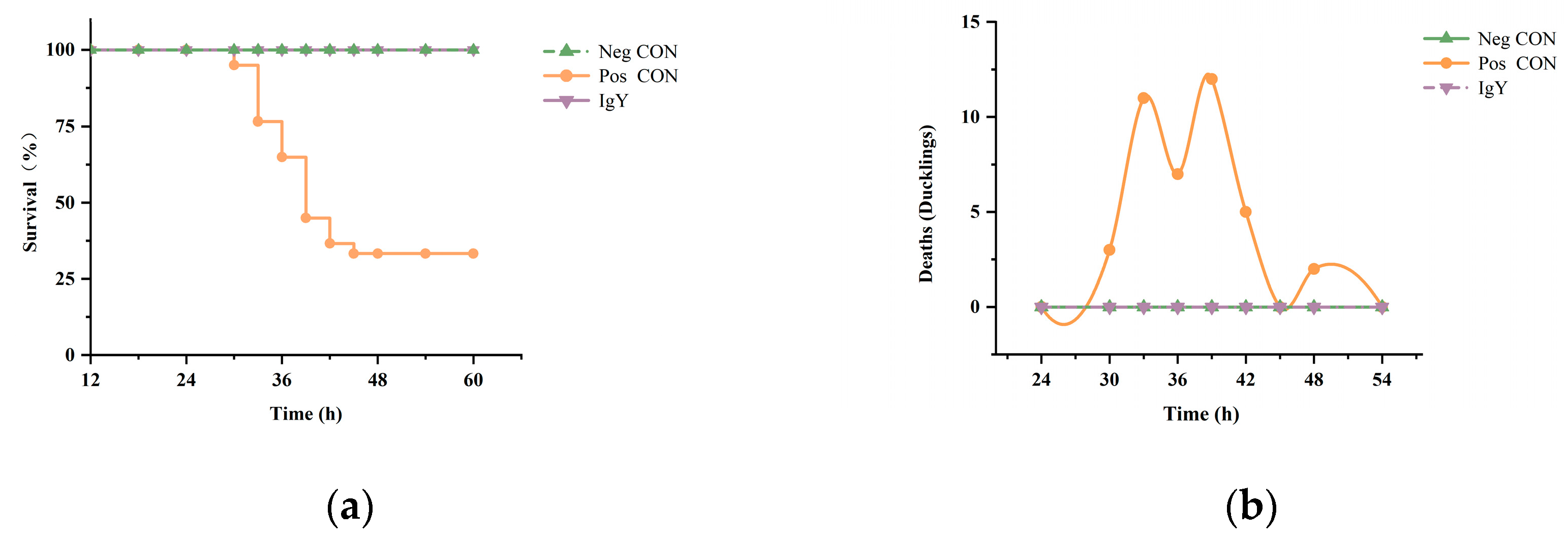 Vaccines 13 00154 g002