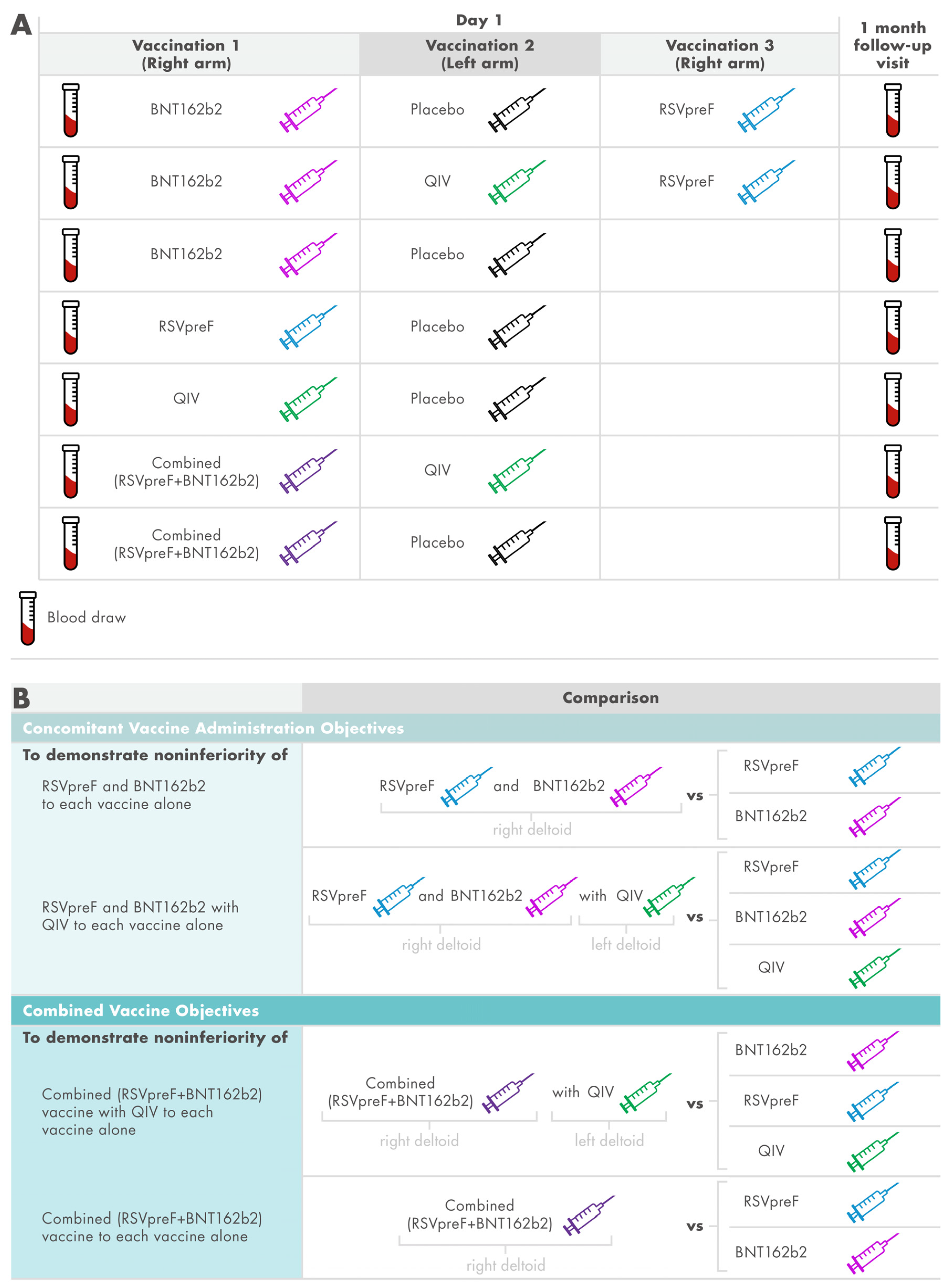 Vaccines 13 00158 g001