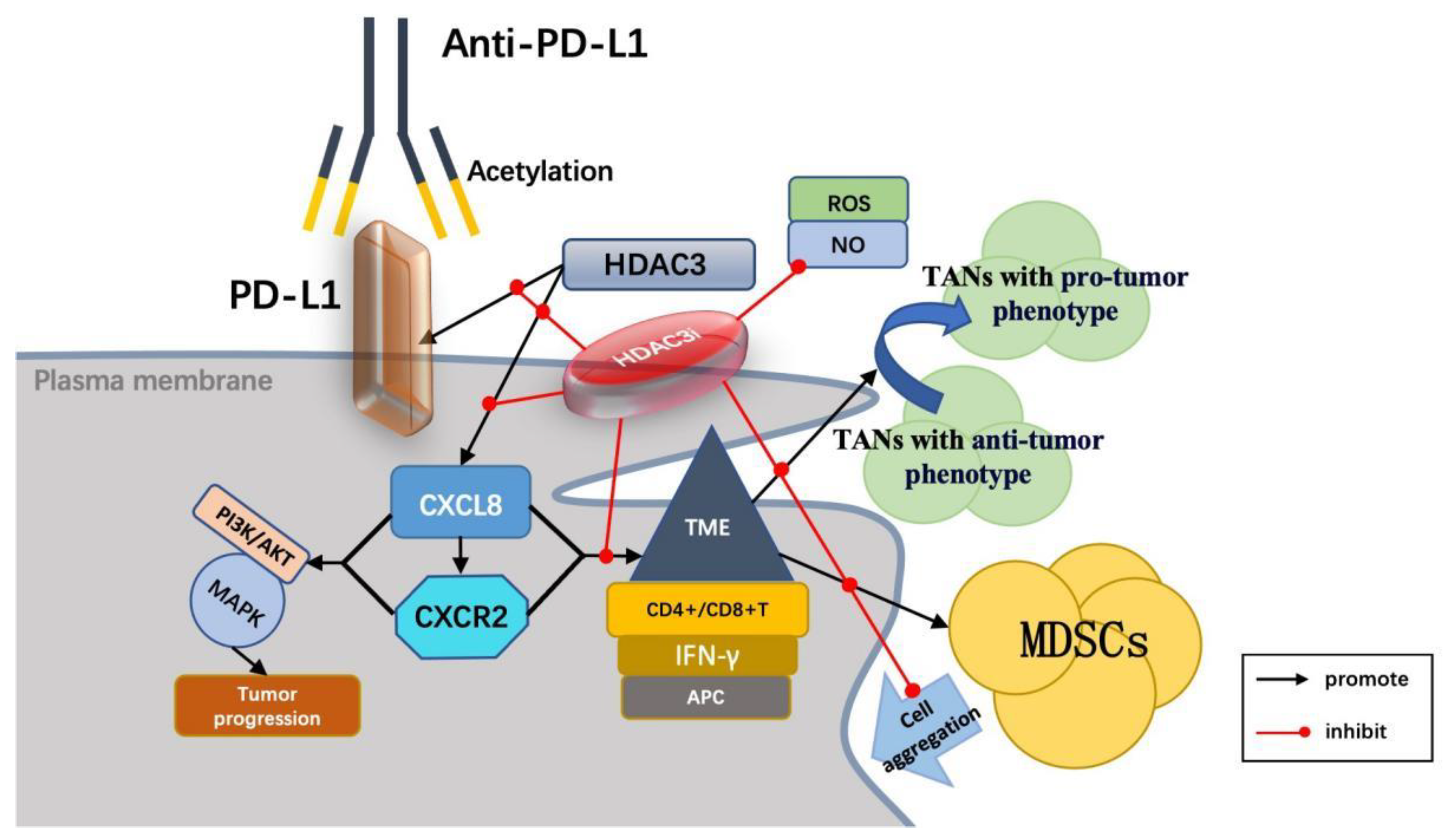 Vaccines 13 00182 g003
