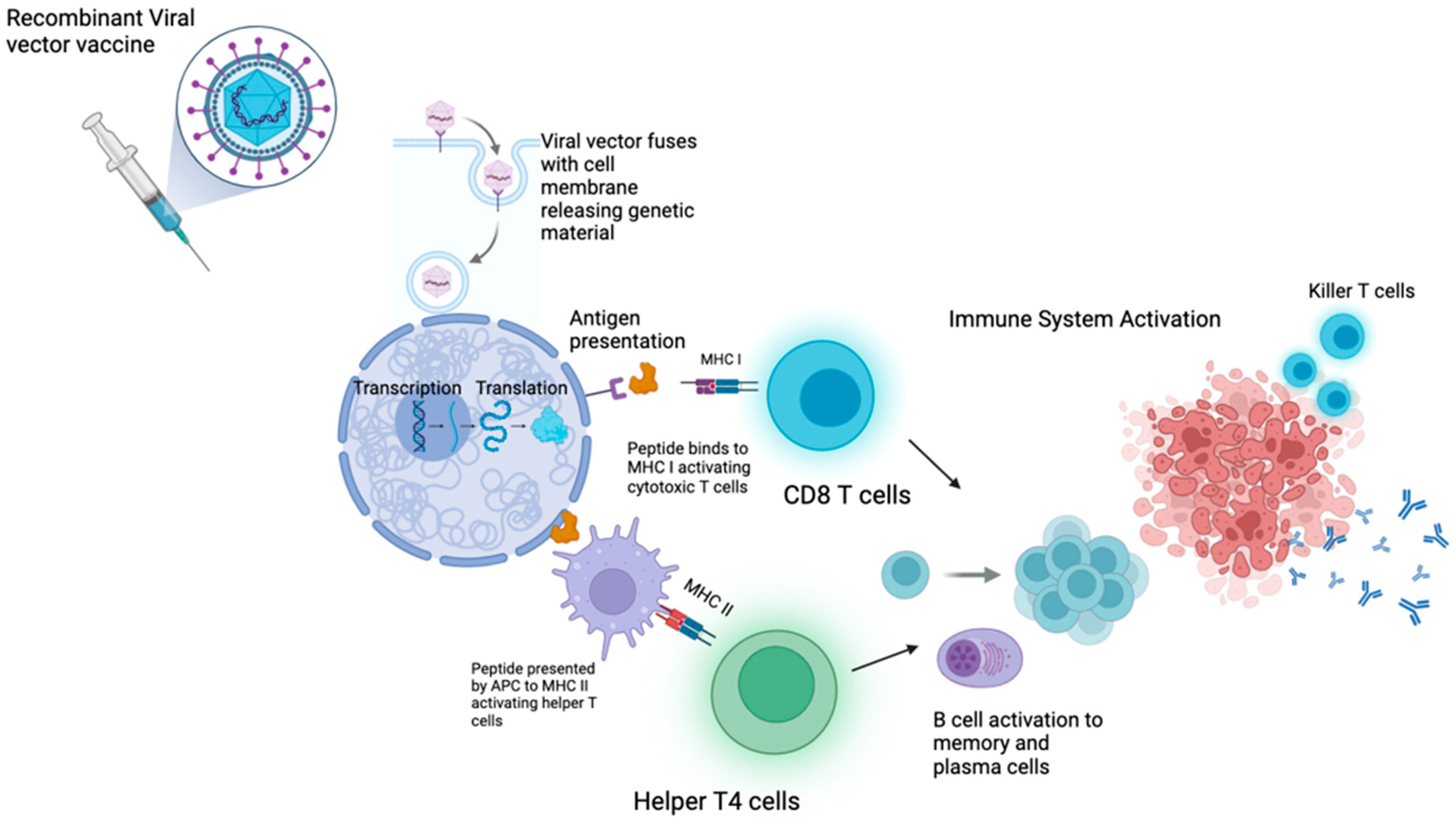 Vaccines 13 00185 g003