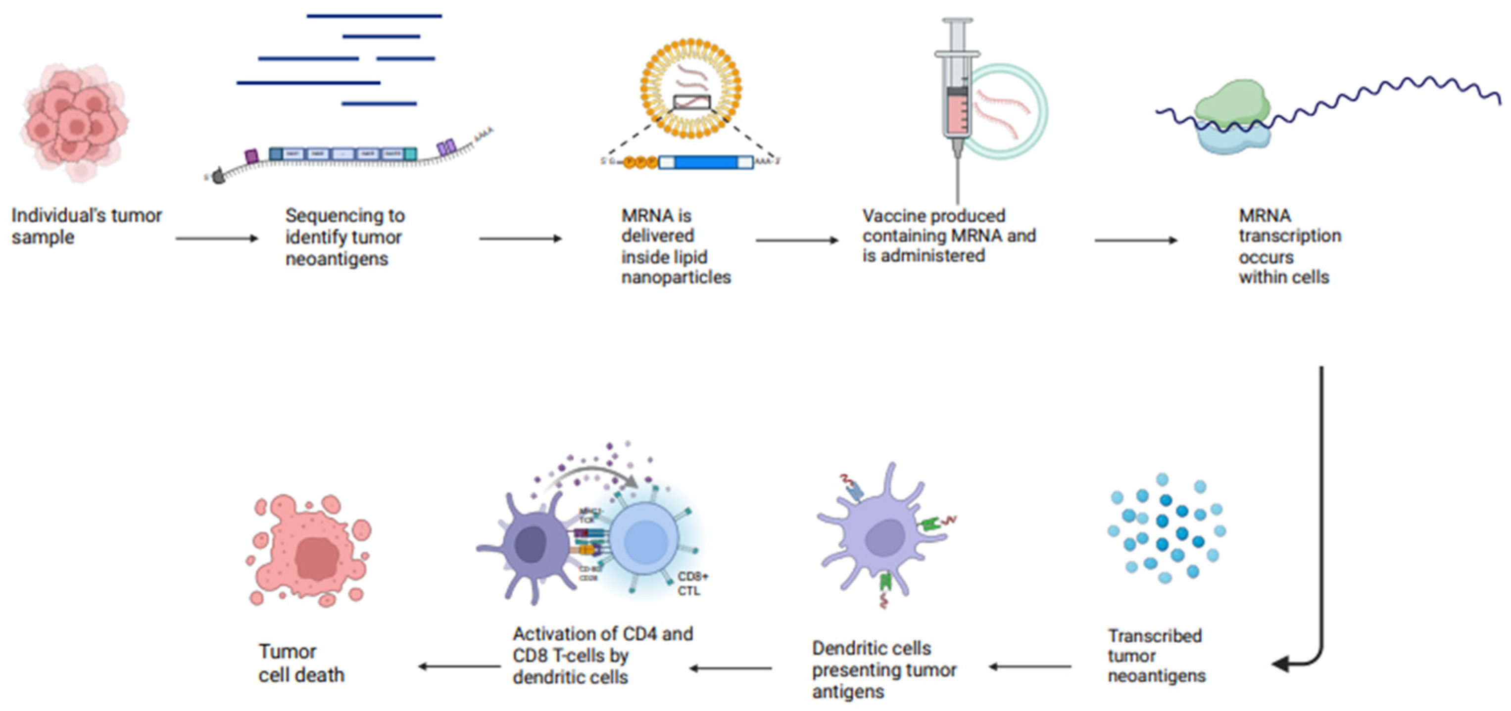 Vaccines 13 00185 g006