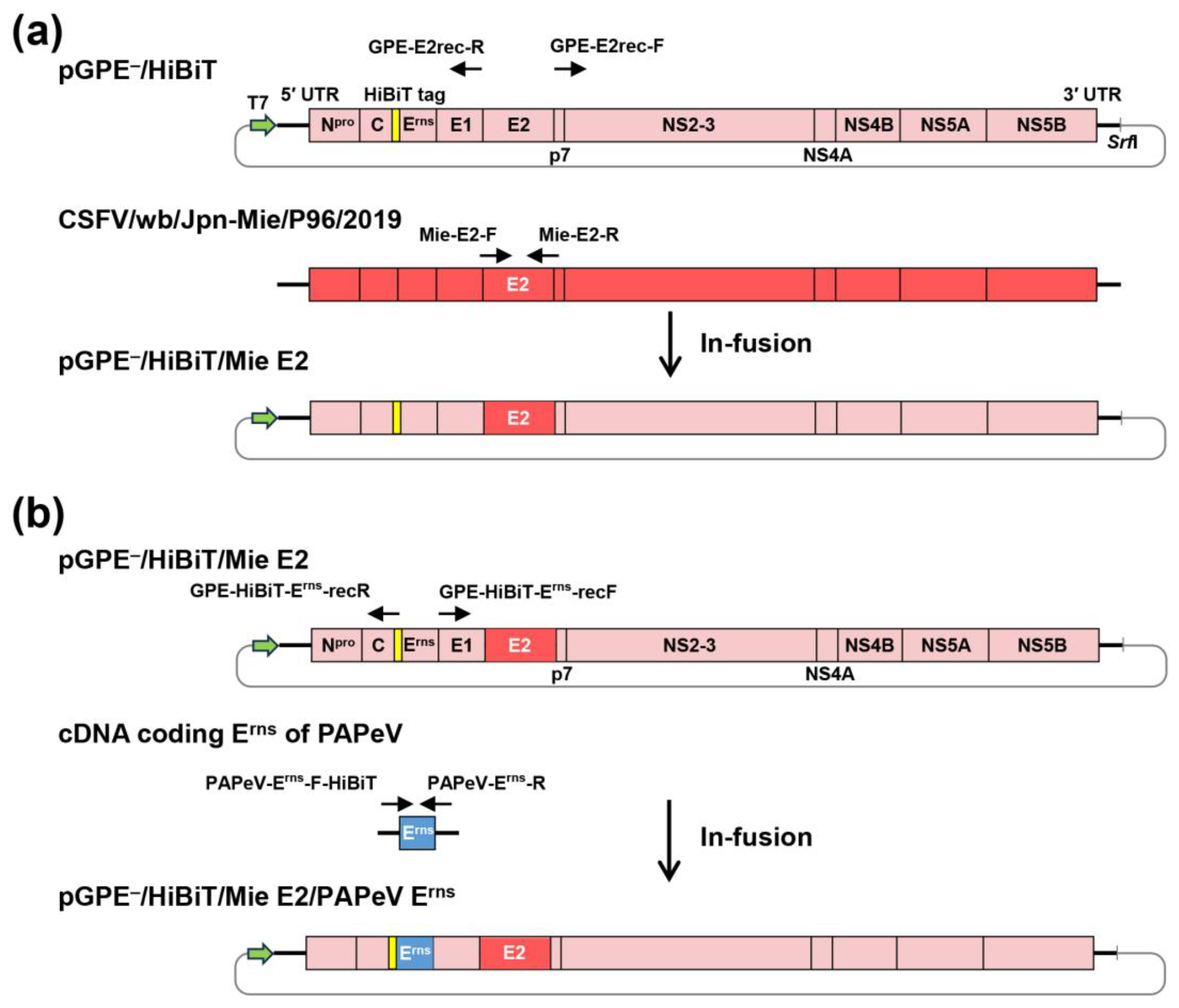 Vaccines 13 00188 g001