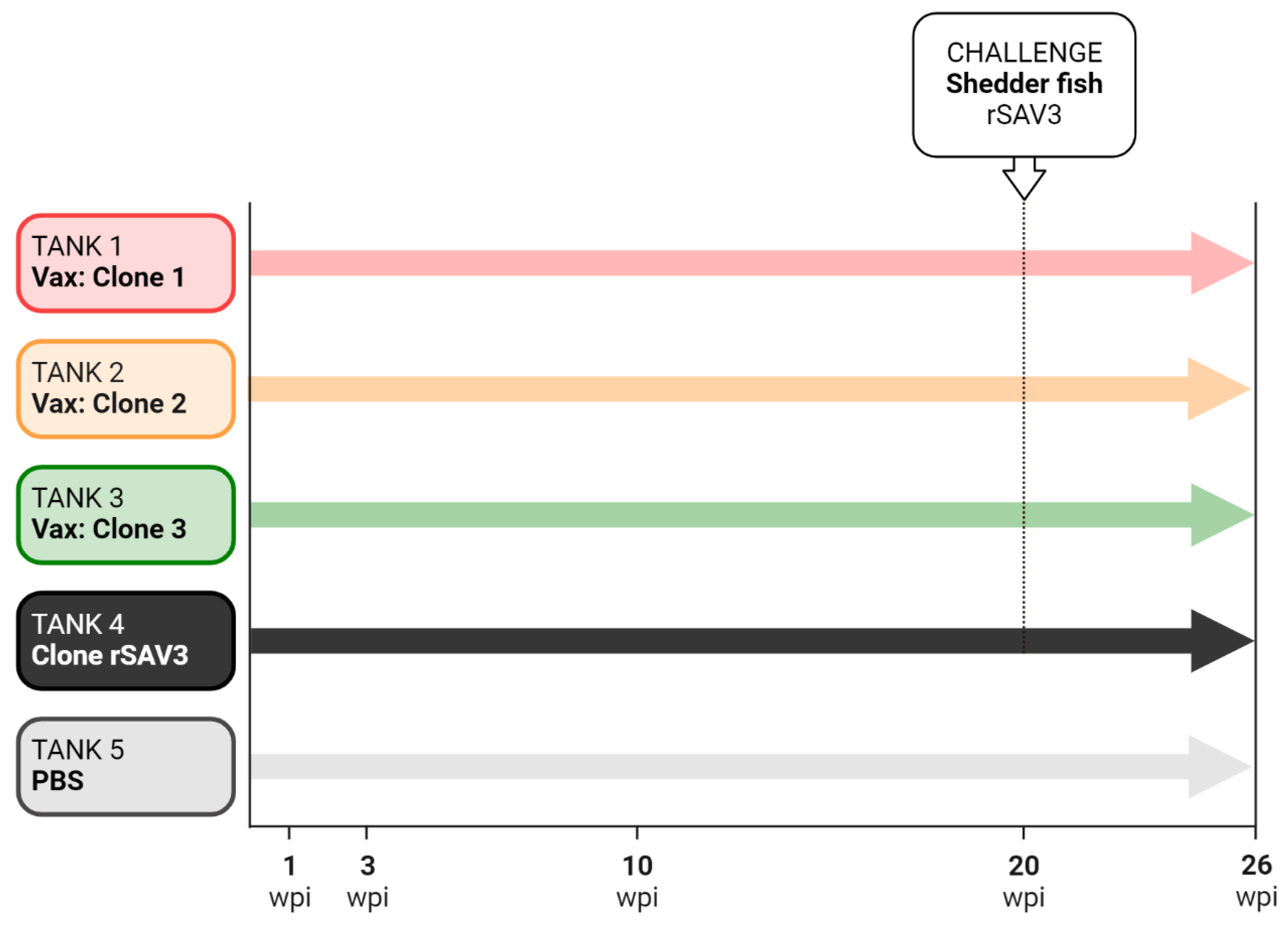 Vaccines 13 00190 g001