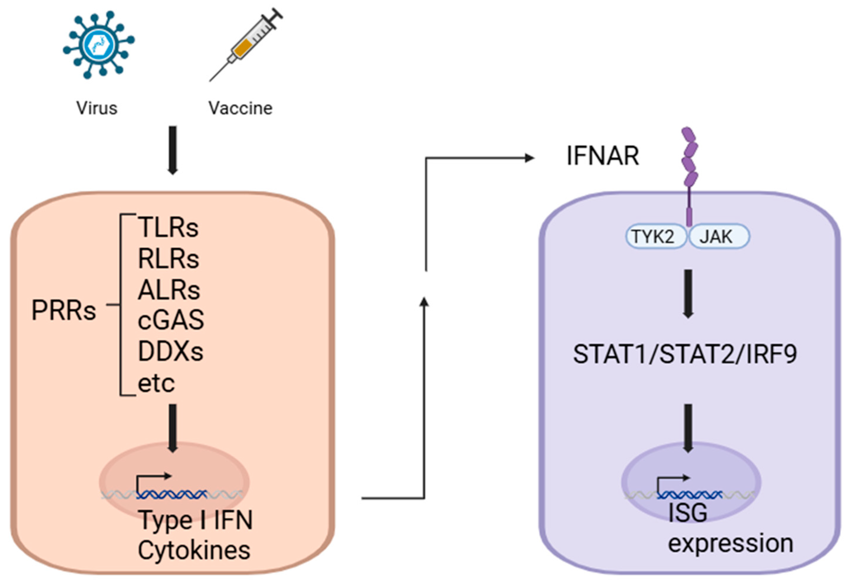 Vaccines 13 00193 g001 Vaccines 13 00193 g001
