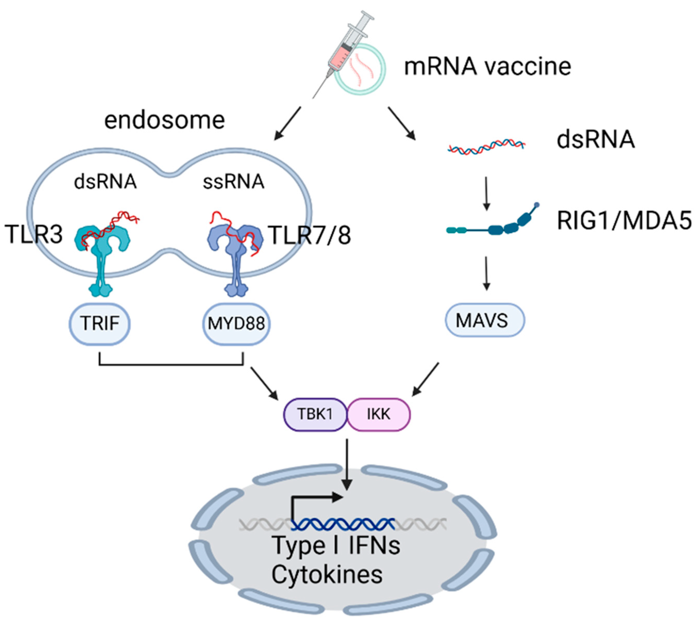 Vaccines 13 00193 g002 Vaccines 13 00193 g002