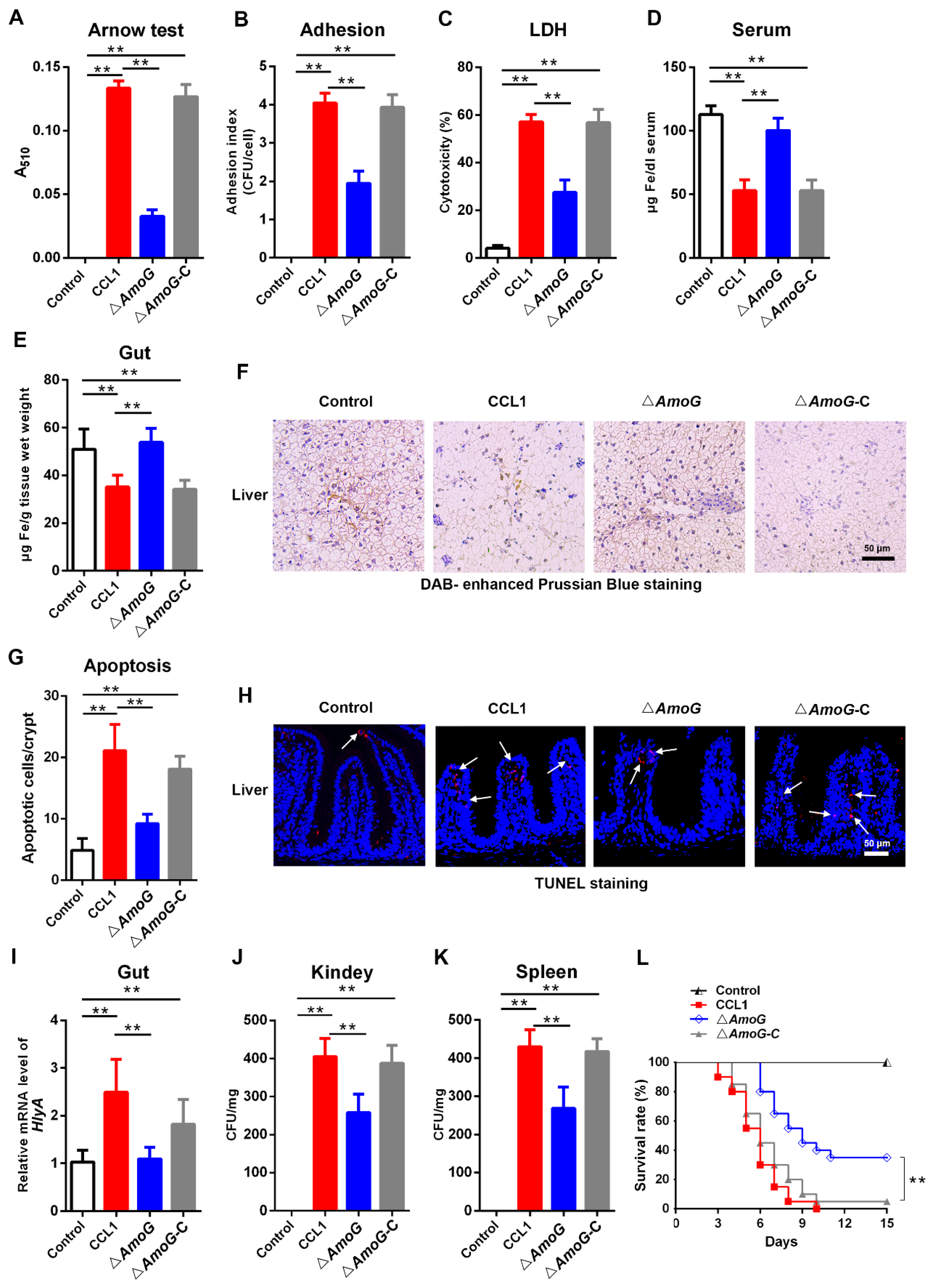 Vaccines 13 00195 g002 Vaccines 13 00195 g002