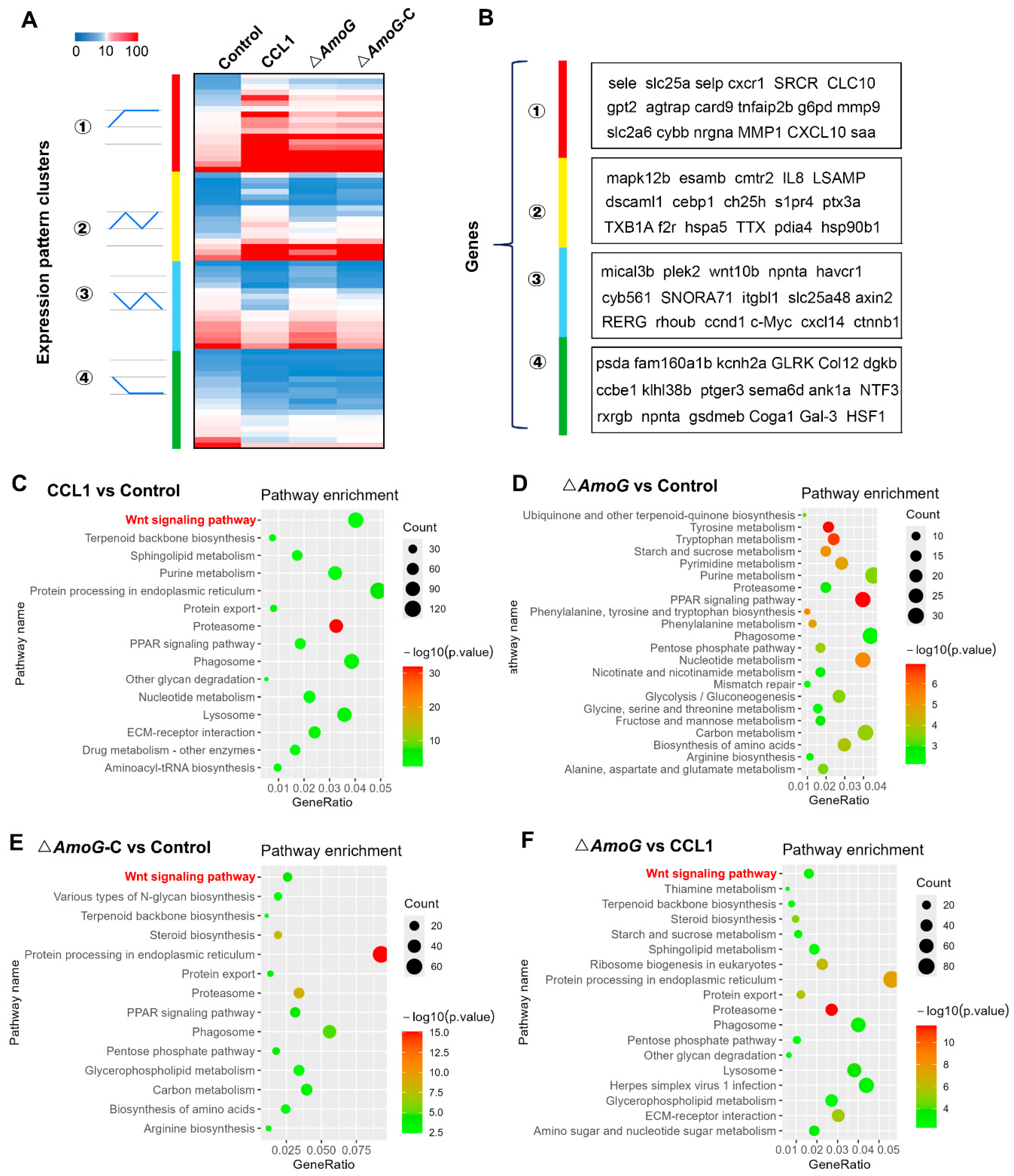 Vaccines 13 00195 g003 Vaccines 13 00195 g003